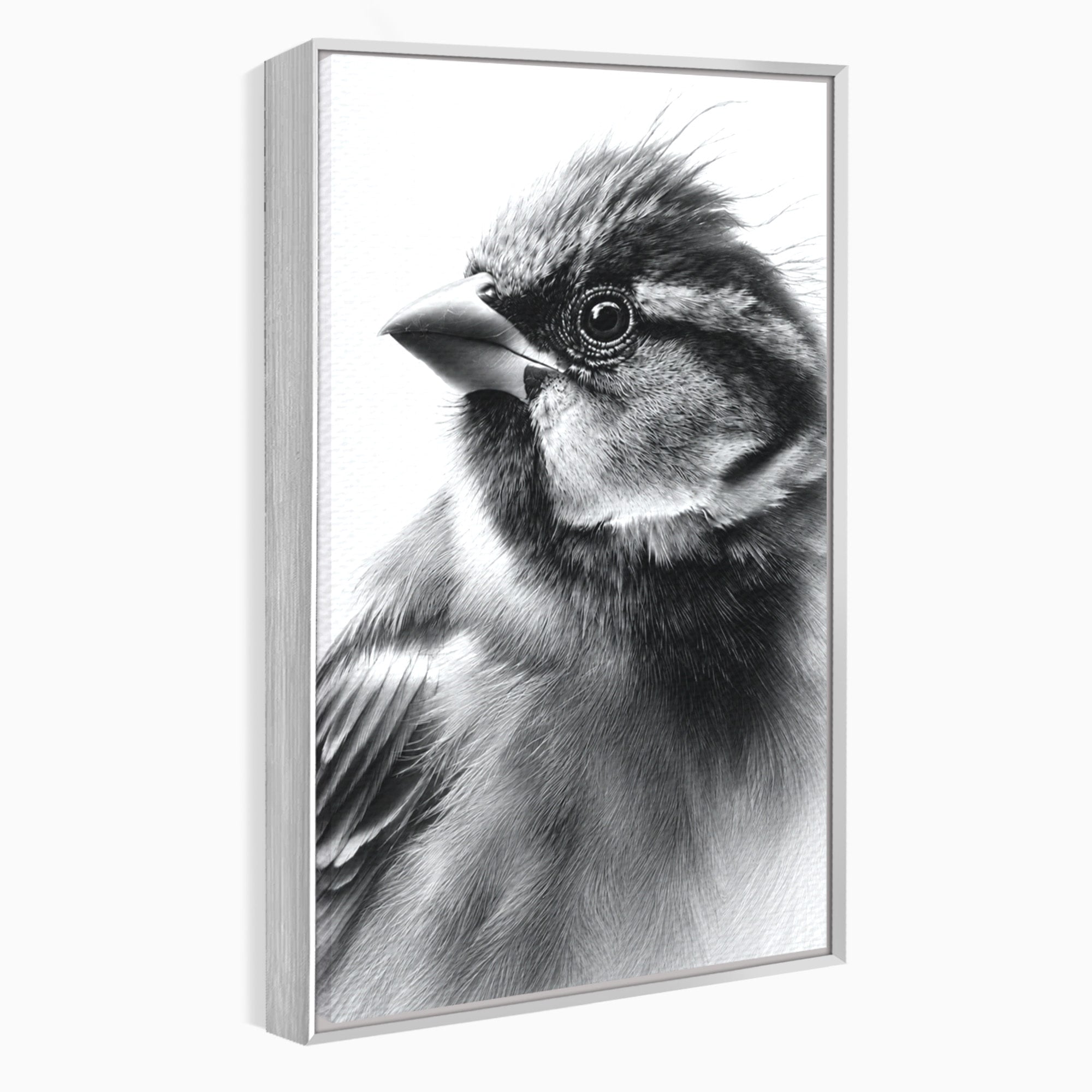 Tablou Canvas Premium LuxCanva® M1574, Portret De Pasare, Pasare, Portret, Arta, Detalii, Dormitor, Culori Vibrante