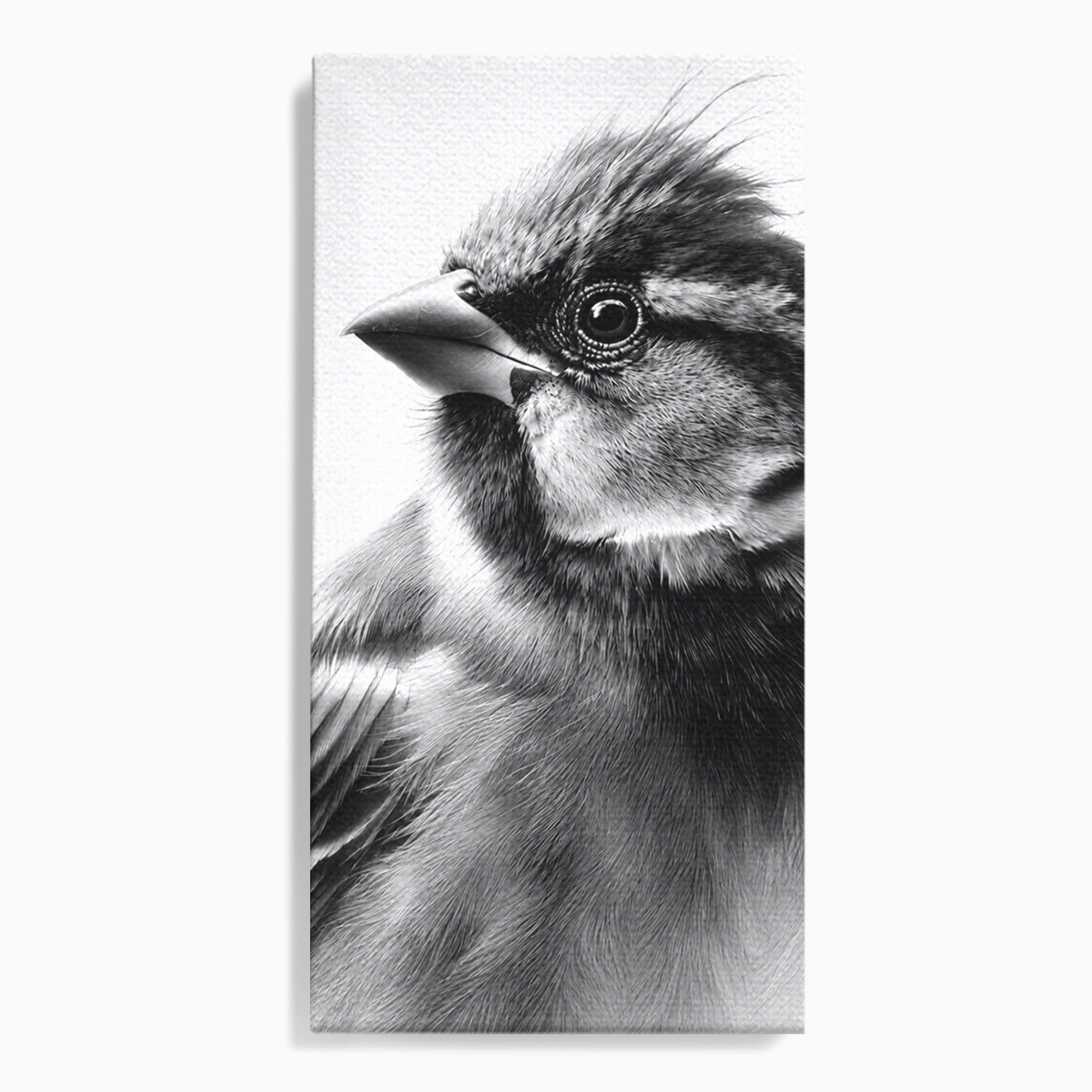 Tablou Canvas Premium LuxCanva® M1574, Portret De Pasare, Pasare, Portret, Arta, Detalii, Dormitor, Culori Vibrante