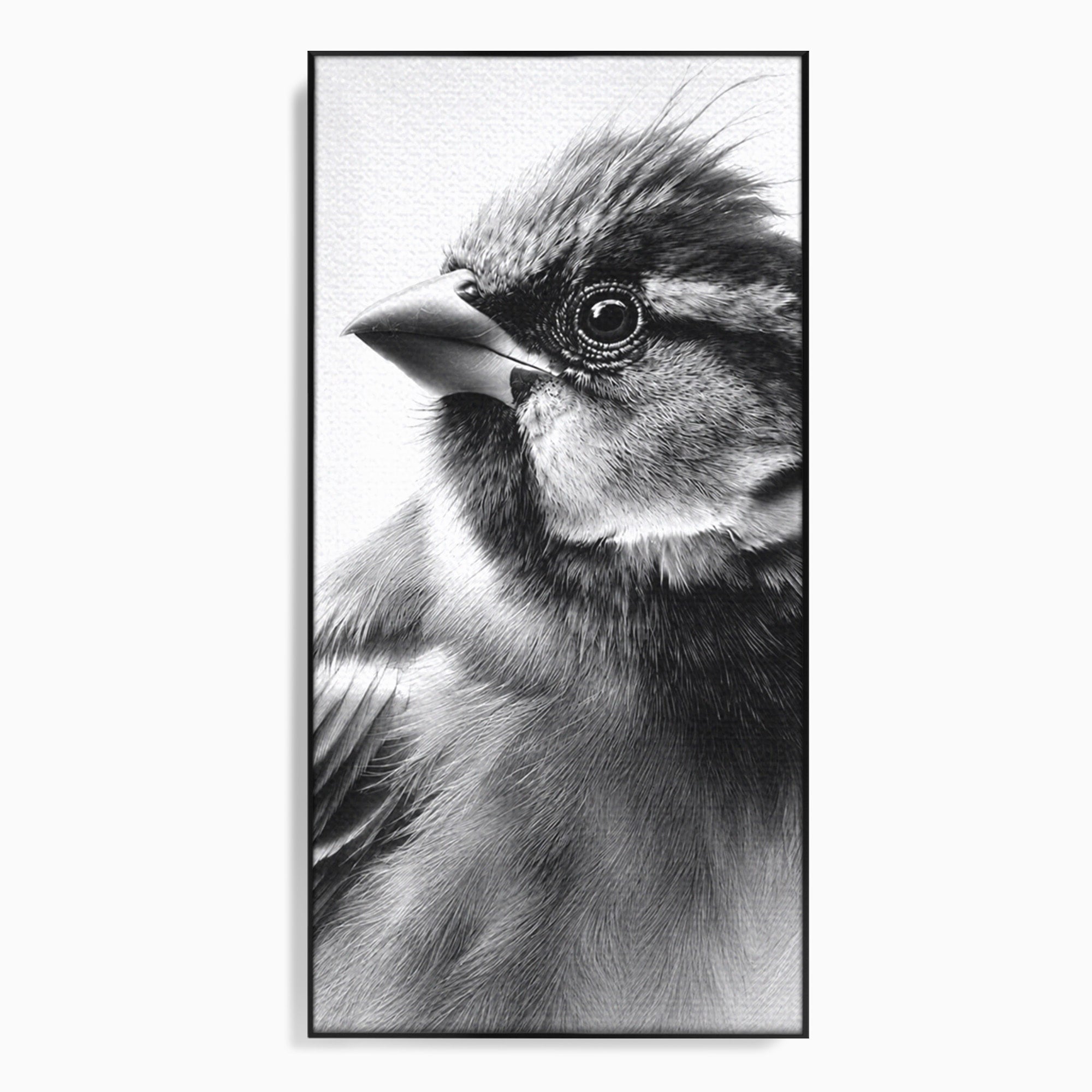 Tablou Canvas Premium LuxCanva® M1574, Portret De Pasare, Pasare, Portret, Arta, Detalii, Dormitor, Culori Vibrante