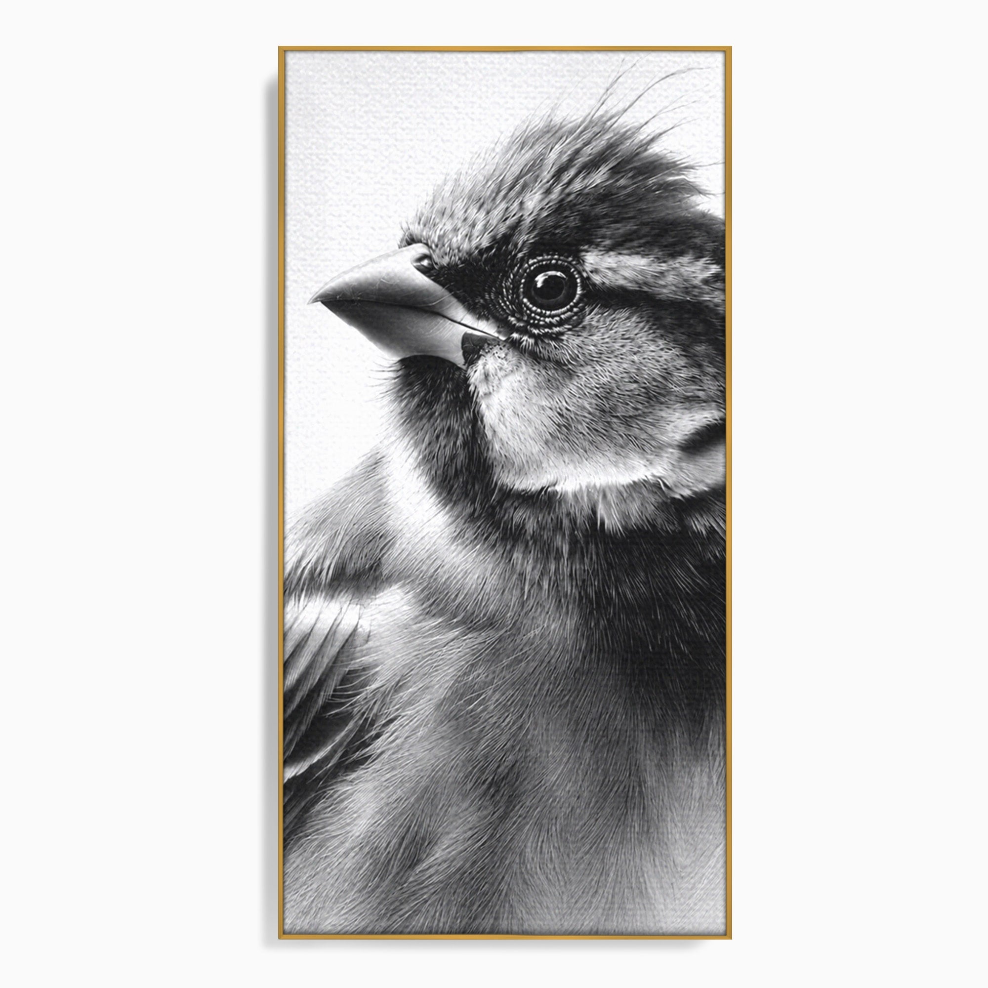 Tablou Canvas Premium LuxCanva® M1574, Portret De Pasare, Pasare, Portret, Arta, Detalii, Dormitor, Culori Vibrante