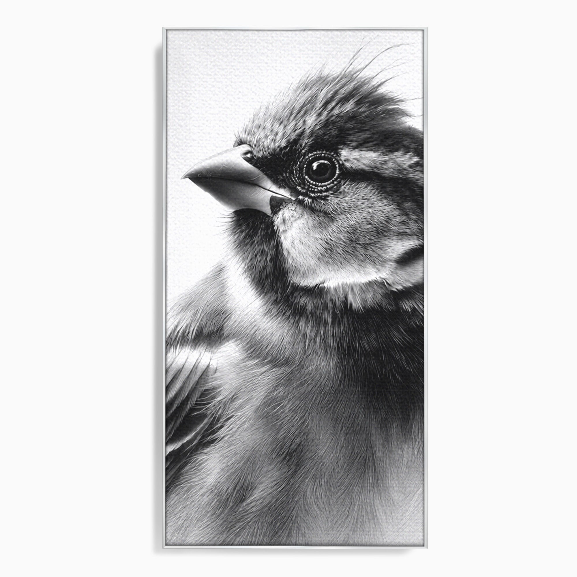 Tablou Canvas Premium LuxCanva® M1574, Portret De Pasare, Pasare, Portret, Arta, Detalii, Dormitor, Culori Vibrante
