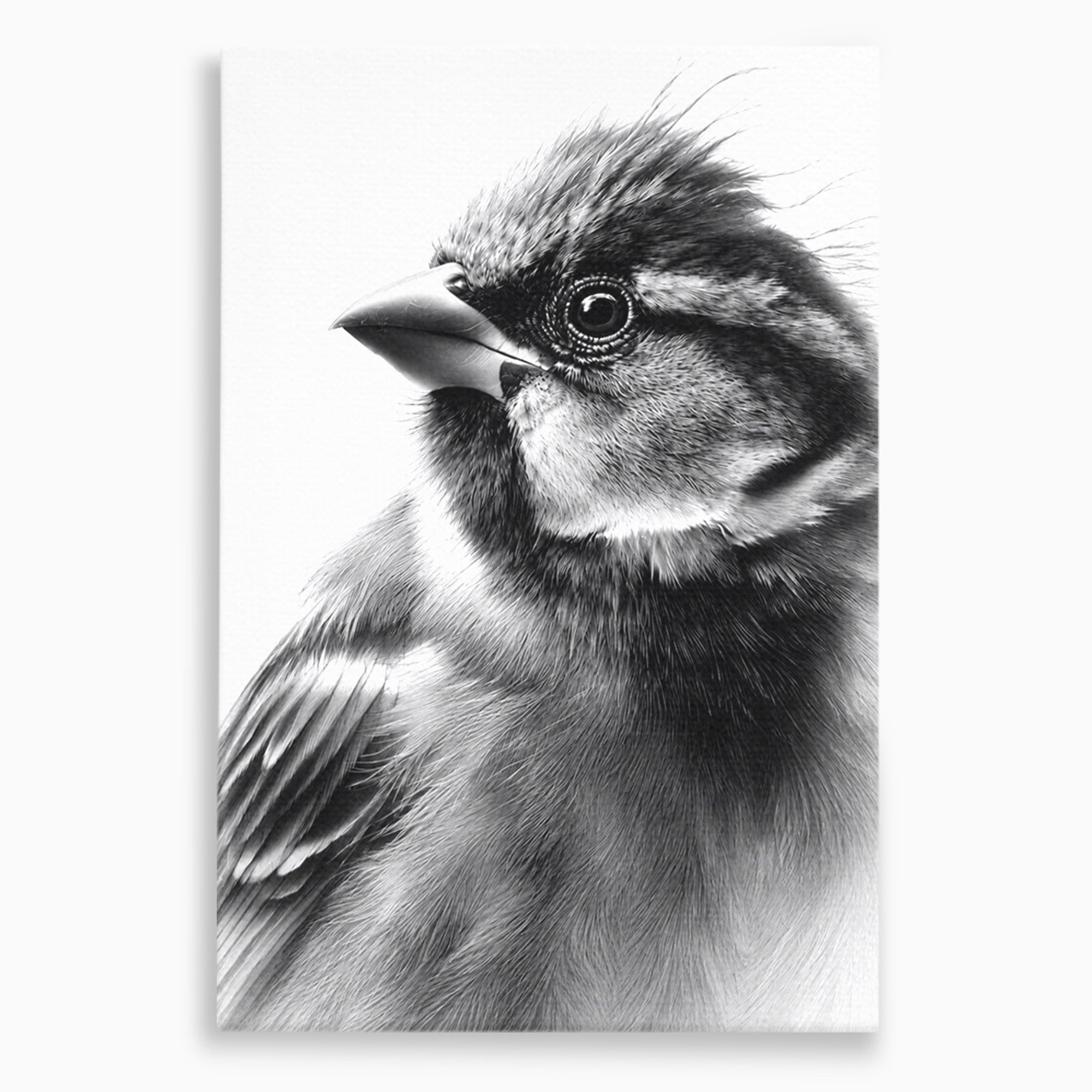 Tablou Canvas Premium LuxCanva® M1574, Portret De Pasare, Pasare, Portret, Arta, Detalii, Dormitor, Culori Vibrante