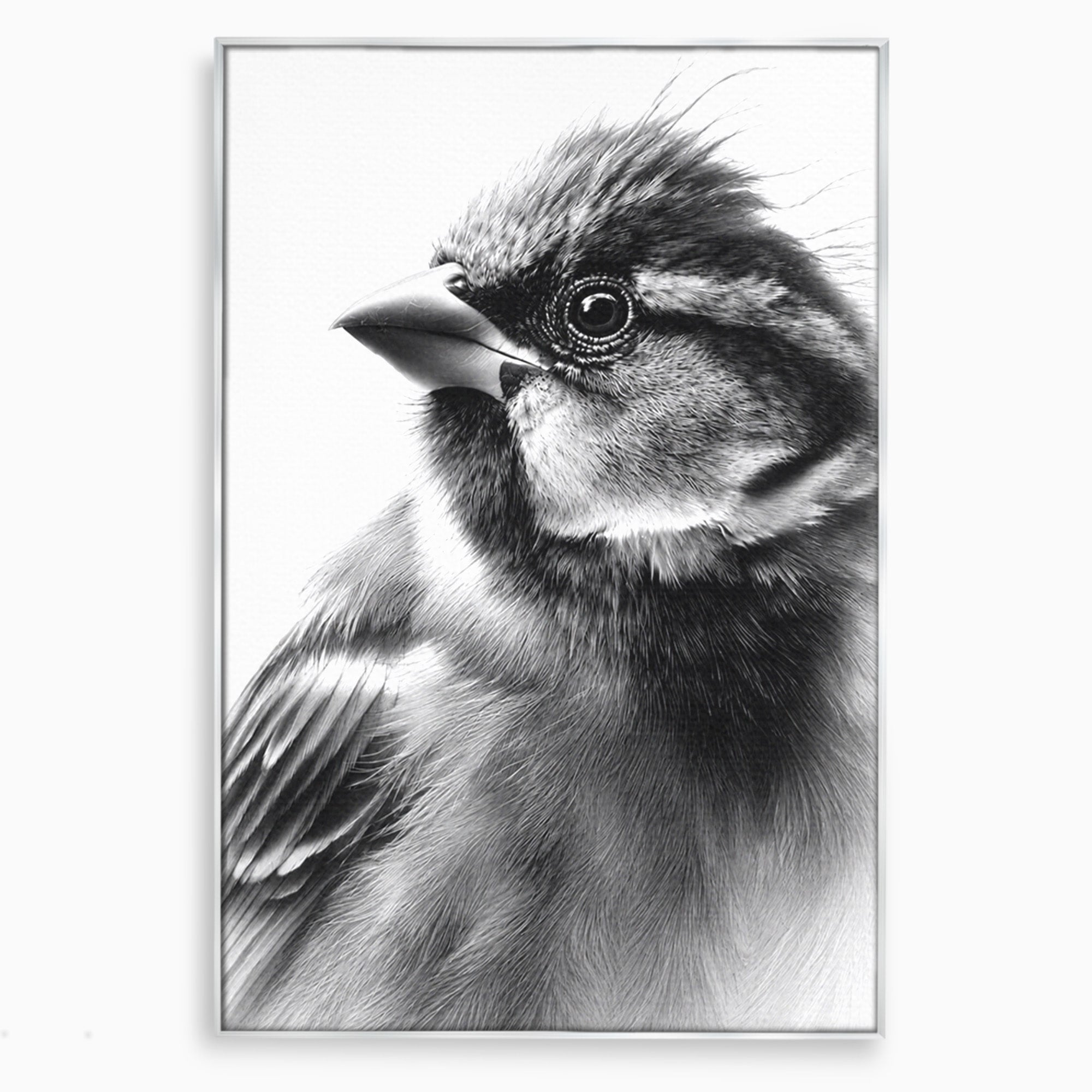Tablou Canvas Premium LuxCanva® M1574, Portret De Pasare, Pasare, Portret, Arta, Detalii, Dormitor, Culori Vibrante