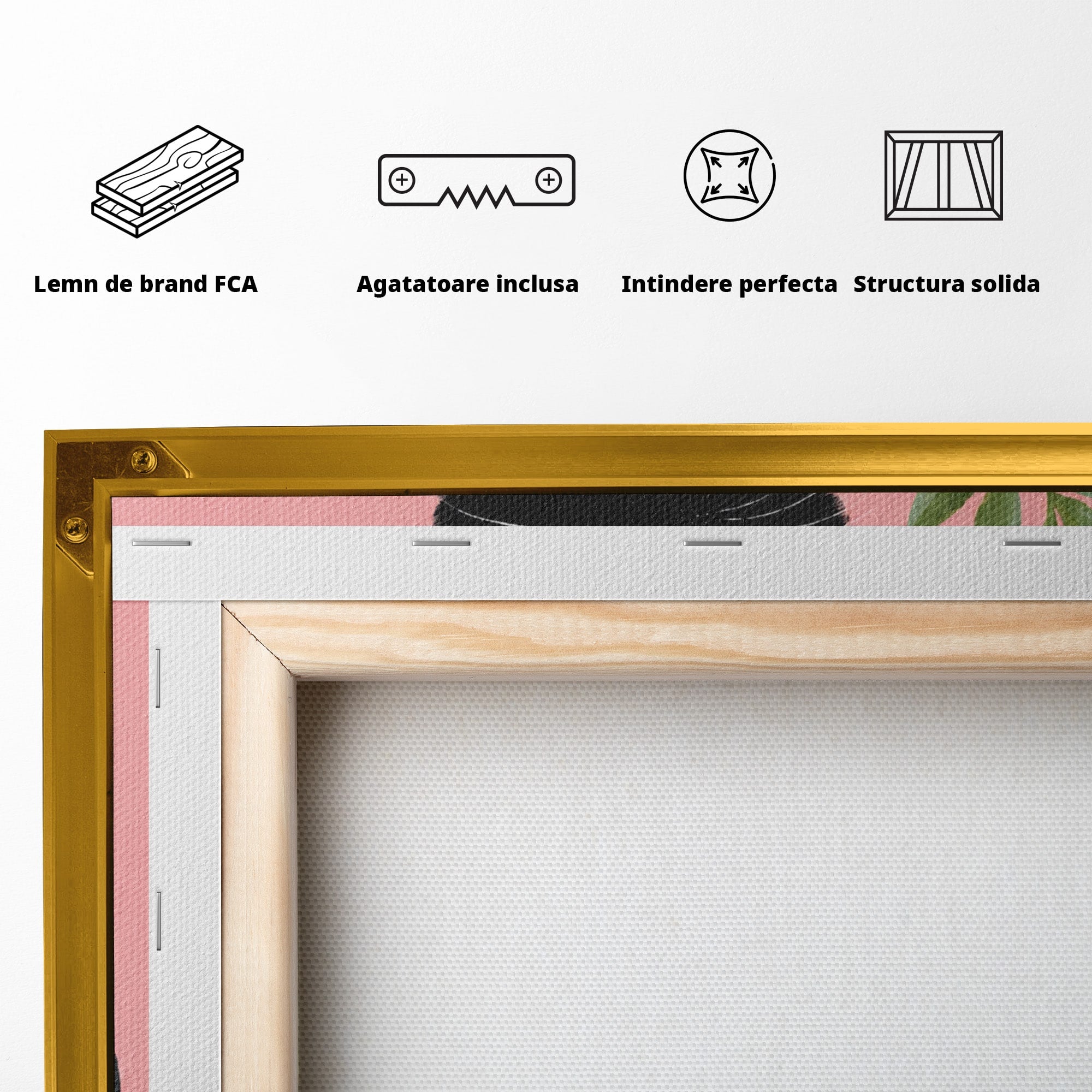 Tablou Canvas Premium LuxCanva® M1575, Pisica Rock, Pisica, Geaca Piele, Planta, Living, Amuzant, Culori Vibrante