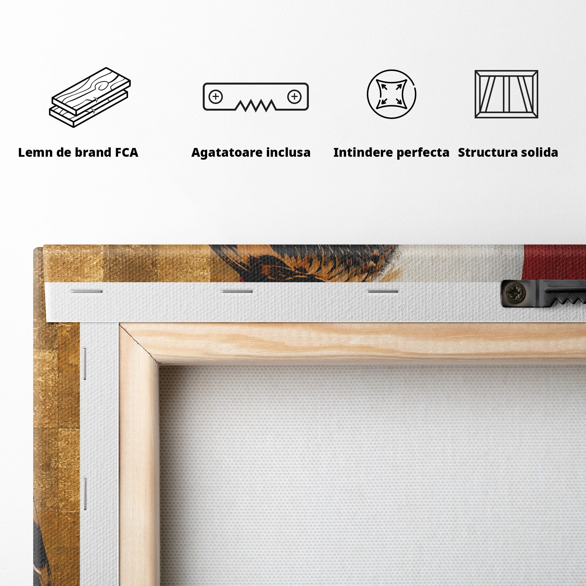 Tablou Canvas Premium LuxCanva® M1576, Vultur Regal, Vultur, Pasare, Natura, Portret, Living, Birou, Culori Vibrante