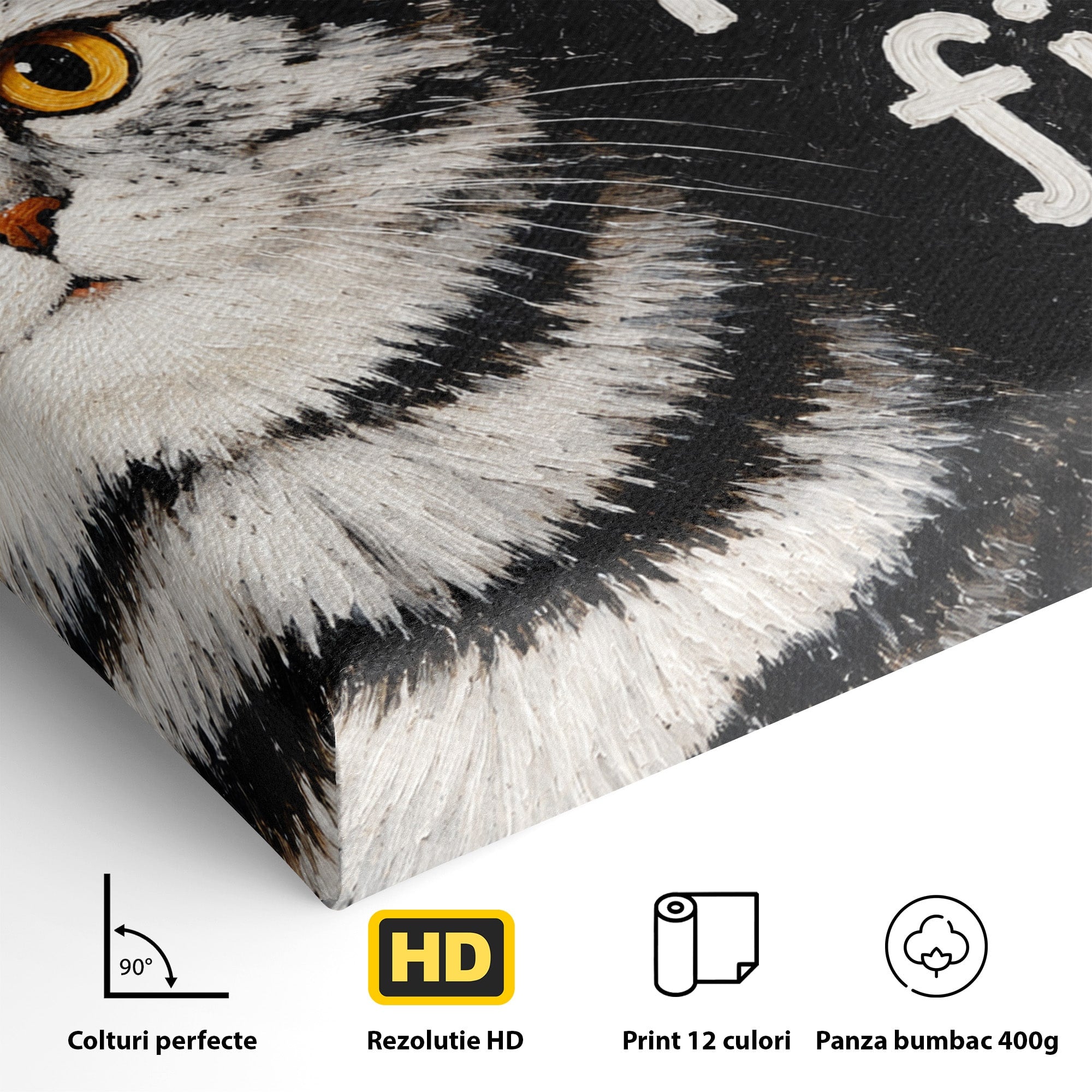 Tablou Canvas Premium LuxCanva® M1577, Micul Gurmand, Pisica, Mesaj, Animale, Living, Birou, Culori Vibrante