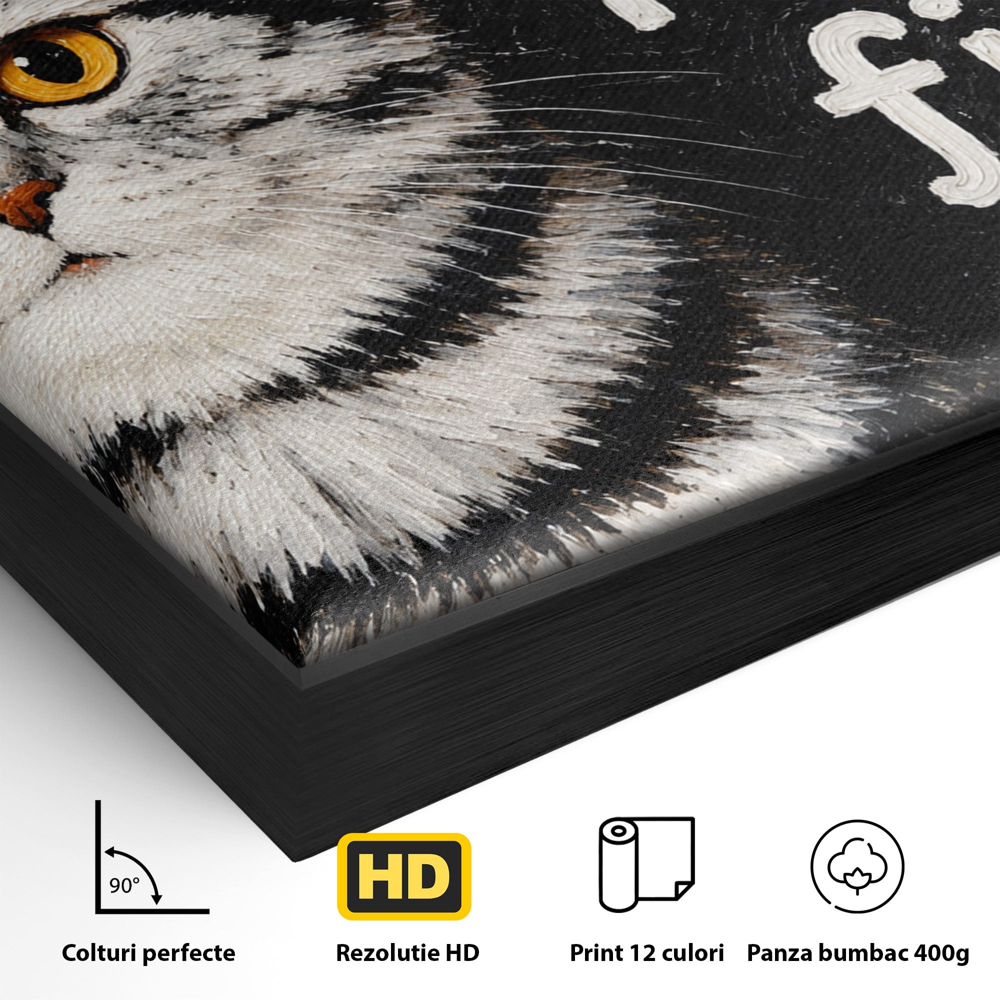 Tablou Canvas Premium LuxCanva® M1577, Micul Gurmand, Pisica, Mesaj, Animale, Living, Birou, Culori Vibrante