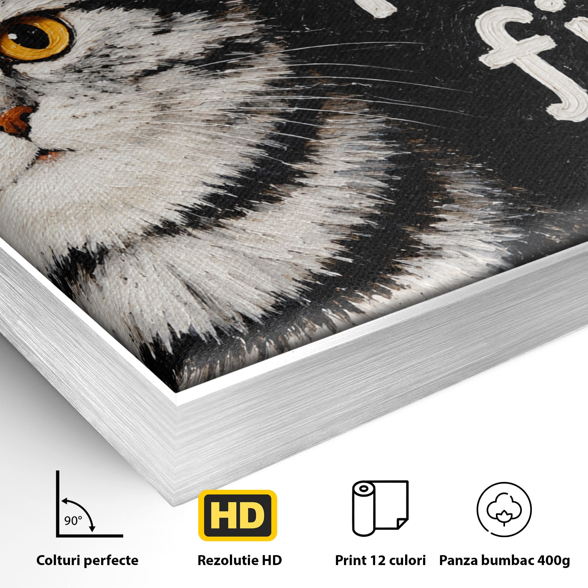Tablou Canvas Premium LuxCanva® M1577, Micul Gurmand, Pisica, Mesaj, Animale, Living, Birou, Culori Vibrante