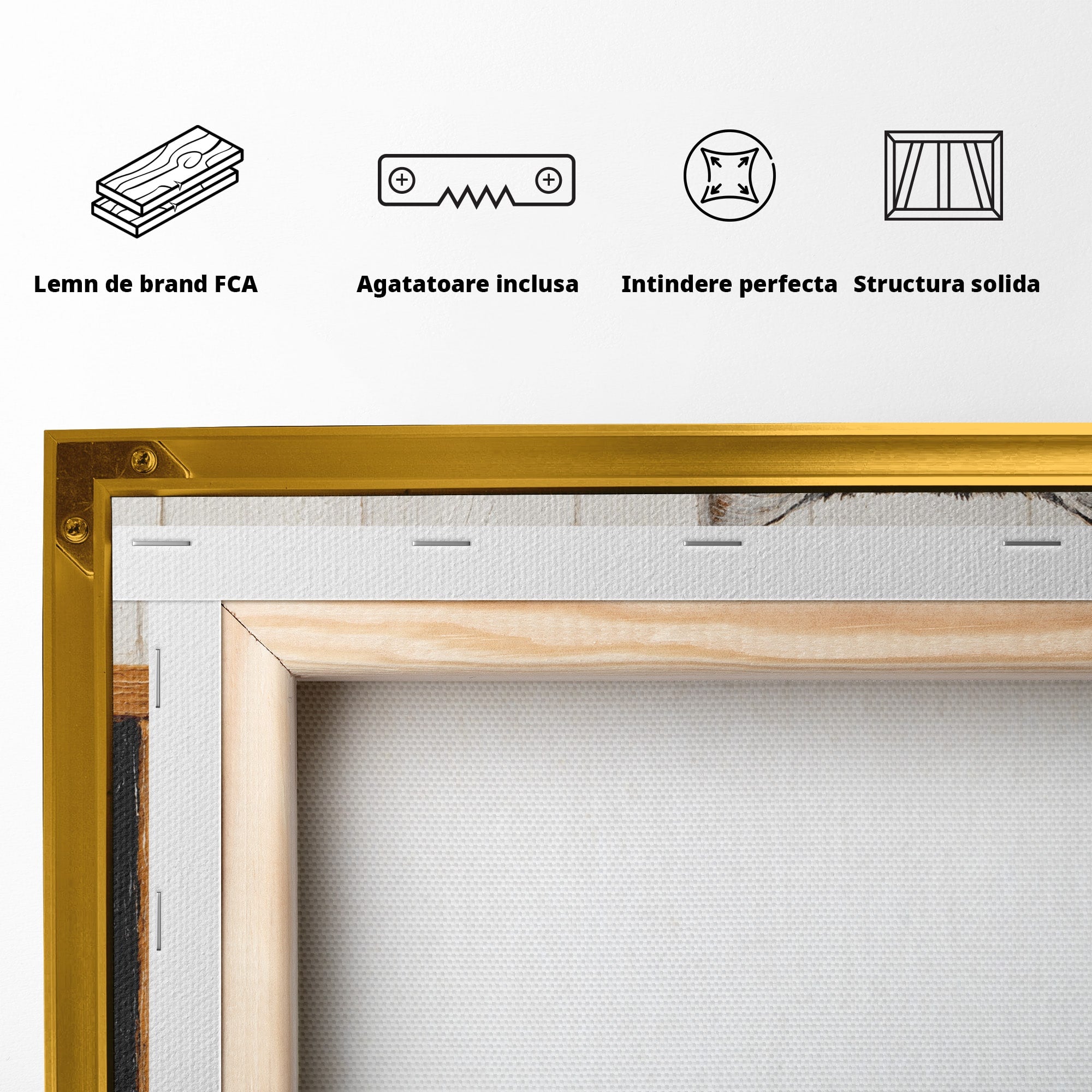 Tablou Canvas Premium LuxCanva® M1577, Micul Gurmand, Pisica, Mesaj, Animale, Living, Birou, Culori Vibrante