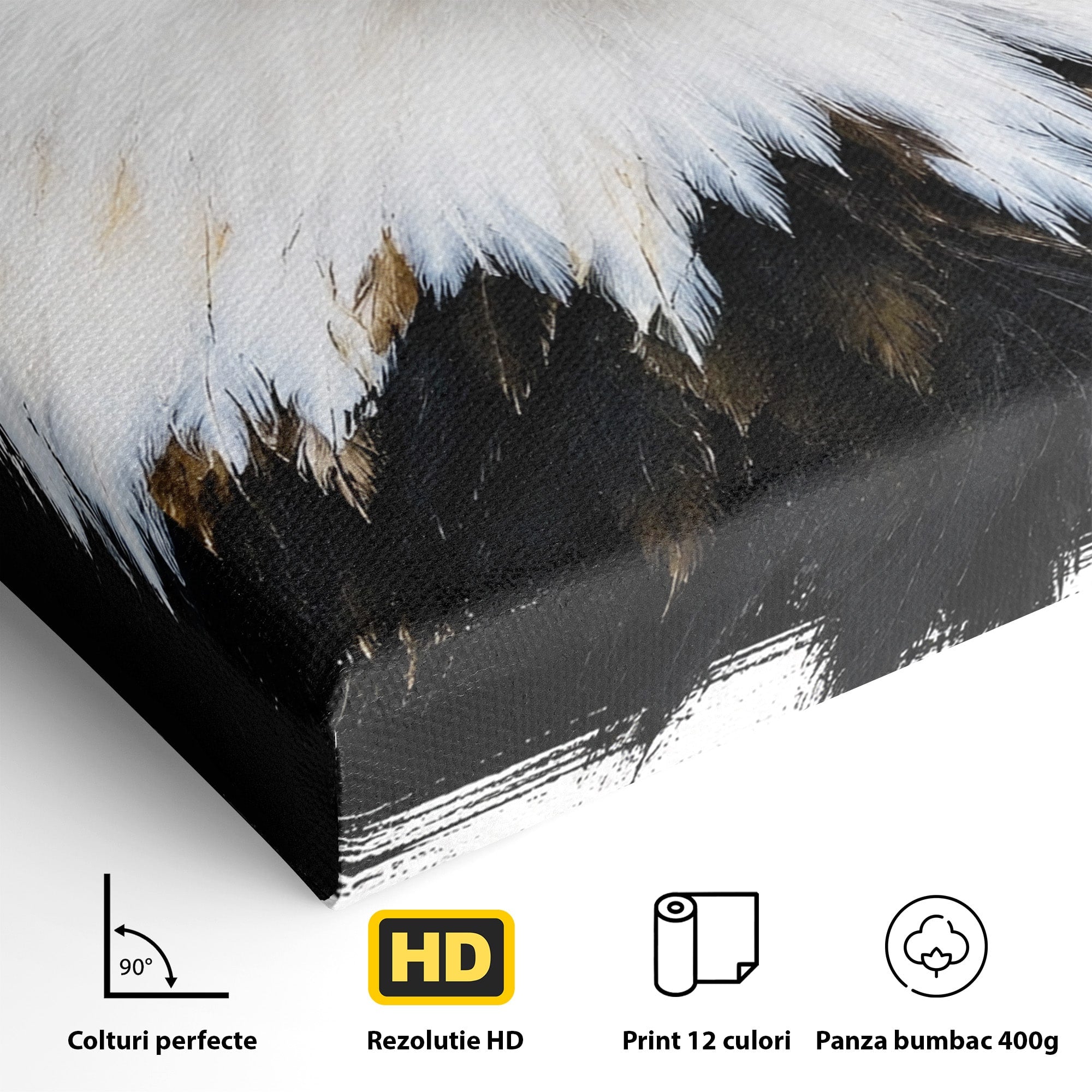 Tablou Canvas Premium LuxCanva® M1584, Spirit Liber, Vultur, Portret, Animale, Wildlife, Birou, Culori Vibrante