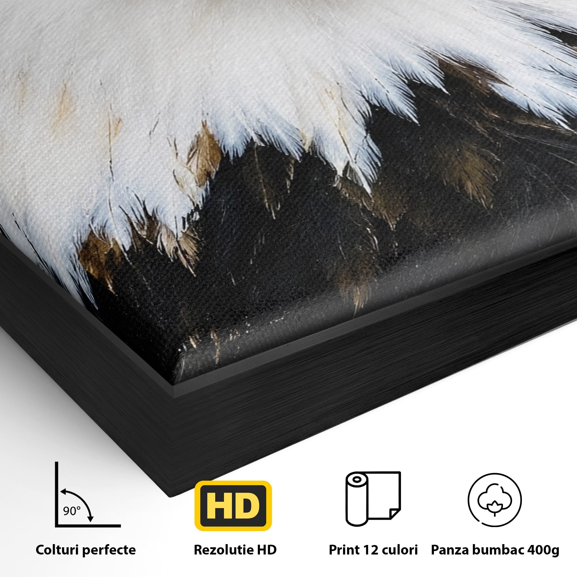 Tablou Canvas Premium LuxCanva® M1584, Spirit Liber, Vultur, Portret, Animale, Wildlife, Birou, Culori Vibrante