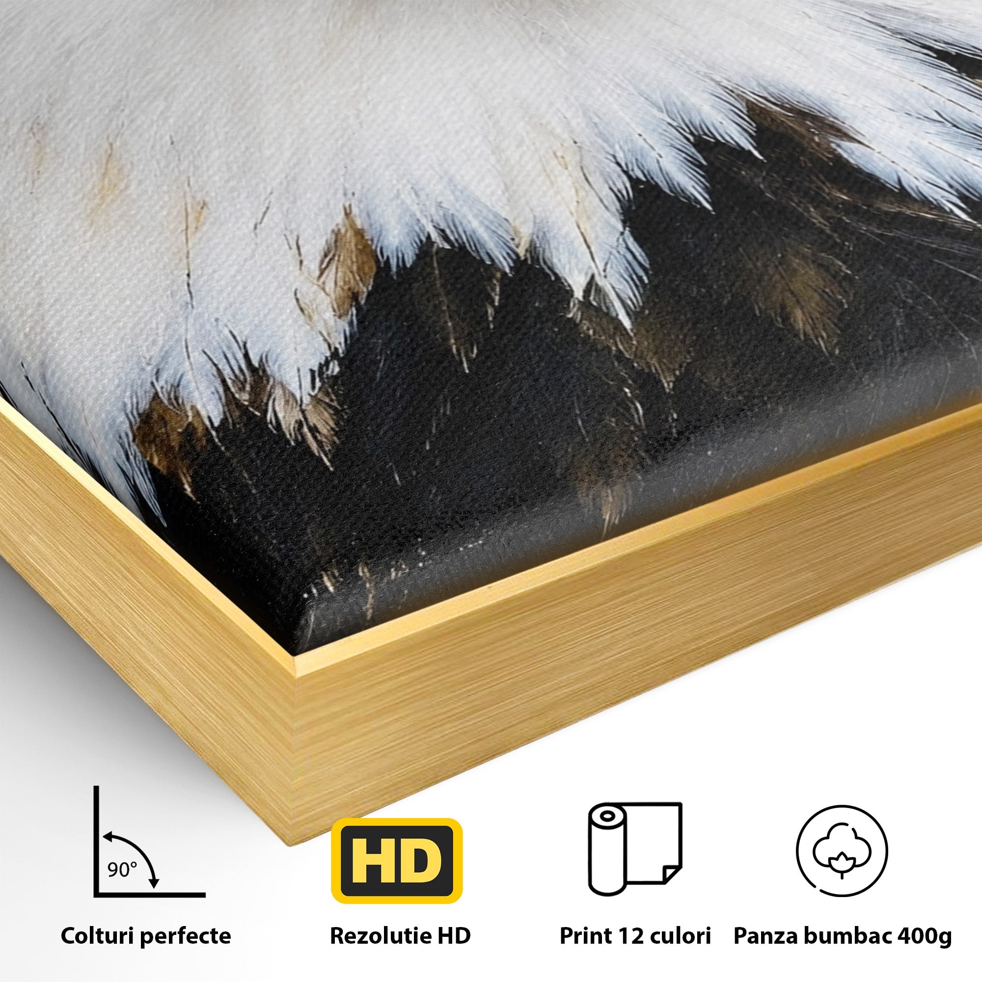 Tablou Canvas Premium LuxCanva® M1584, Spirit Liber, Vultur, Portret, Animale, Wildlife, Birou, Culori Vibrante