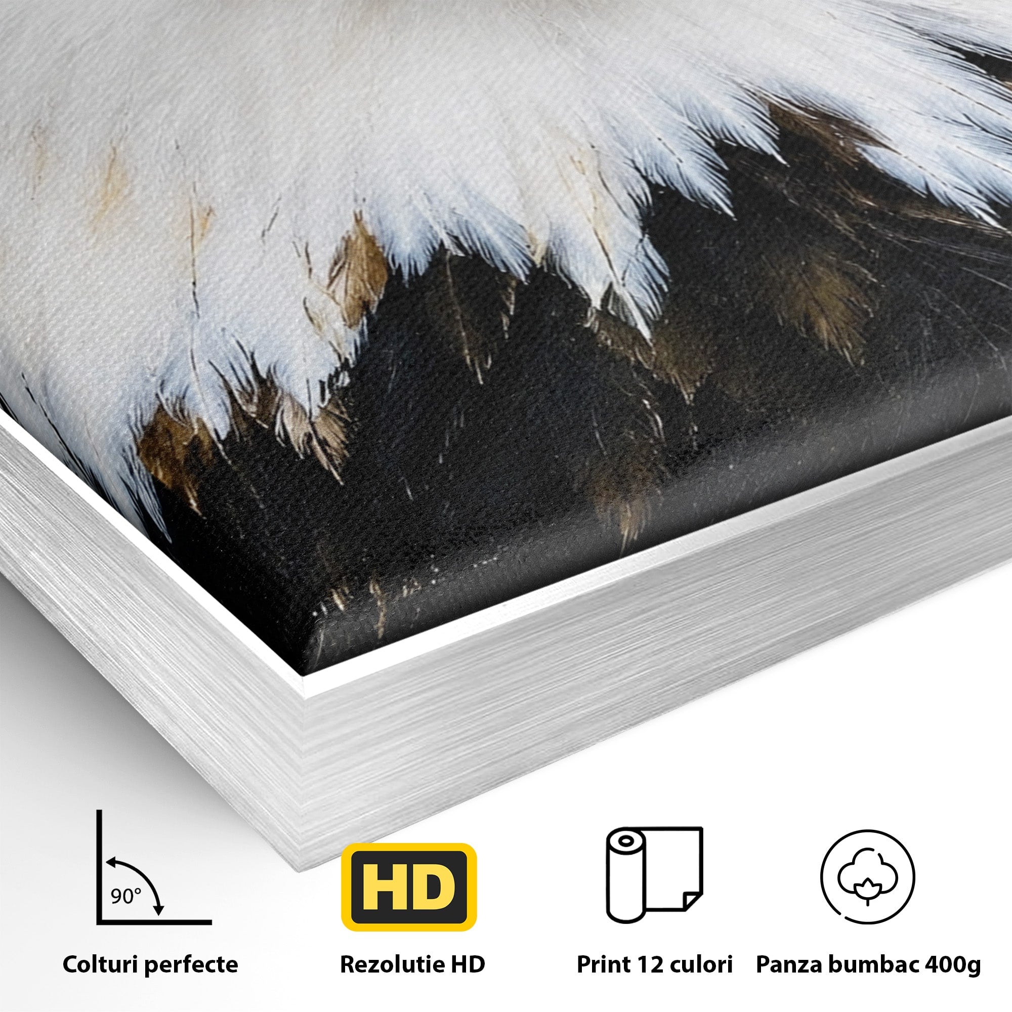Tablou Canvas Premium LuxCanva® M1584, Spirit Liber, Vultur, Portret, Animale, Wildlife, Birou, Culori Vibrante