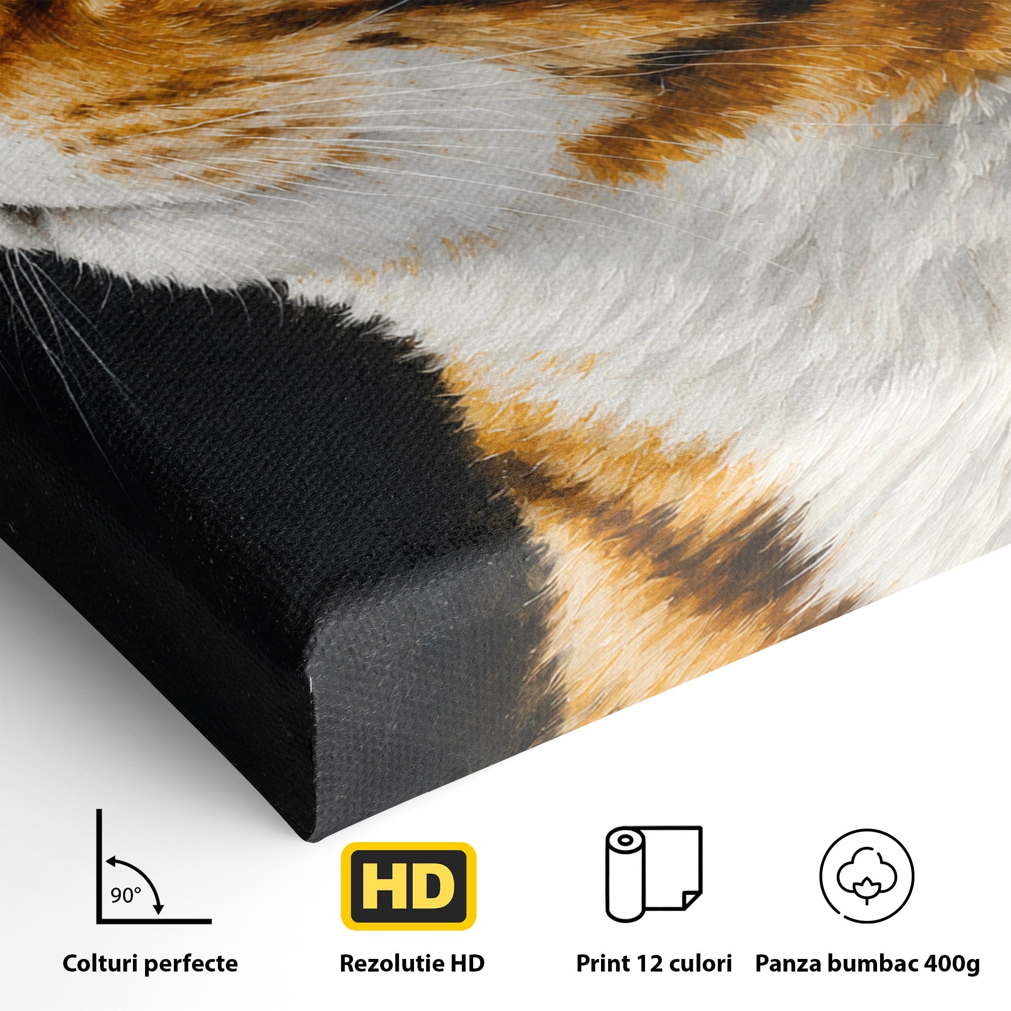 Tablou Canvas Premium LuxCanva® M1595, Privirea Curioasă, Pisica, Portret, Animale, Realism, Dormitor, Culori Vibrante