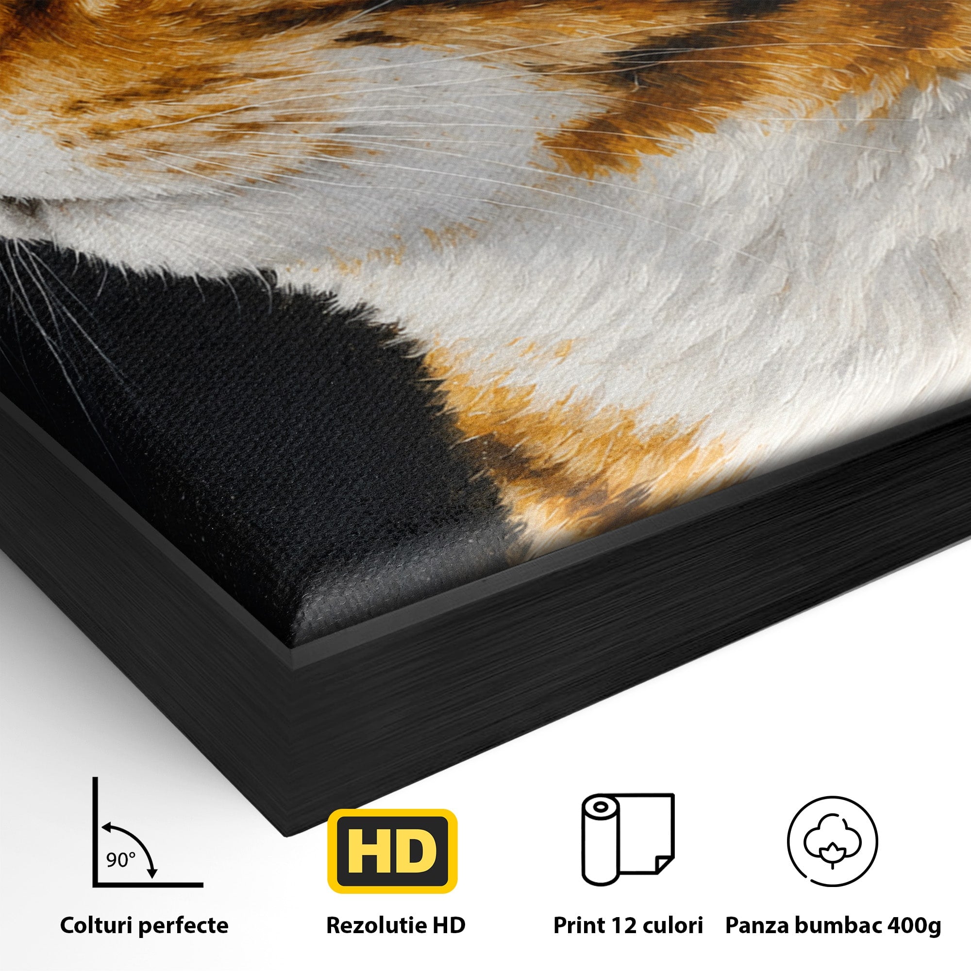 Tablou Canvas Premium LuxCanva® M1595, Privirea Curioasă, Pisica, Portret, Animale, Realism, Dormitor, Culori Vibrante
