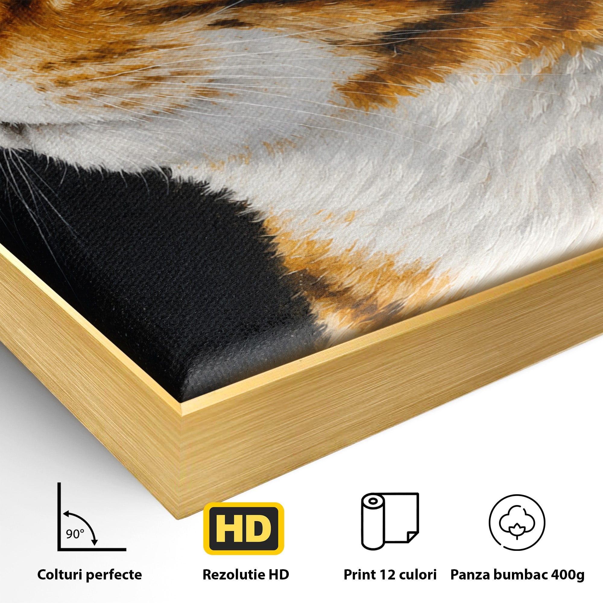 Tablou Canvas Premium LuxCanva® M1595, Privirea Curioasă, Pisica, Portret, Animale, Realism, Dormitor, Culori Vibrante