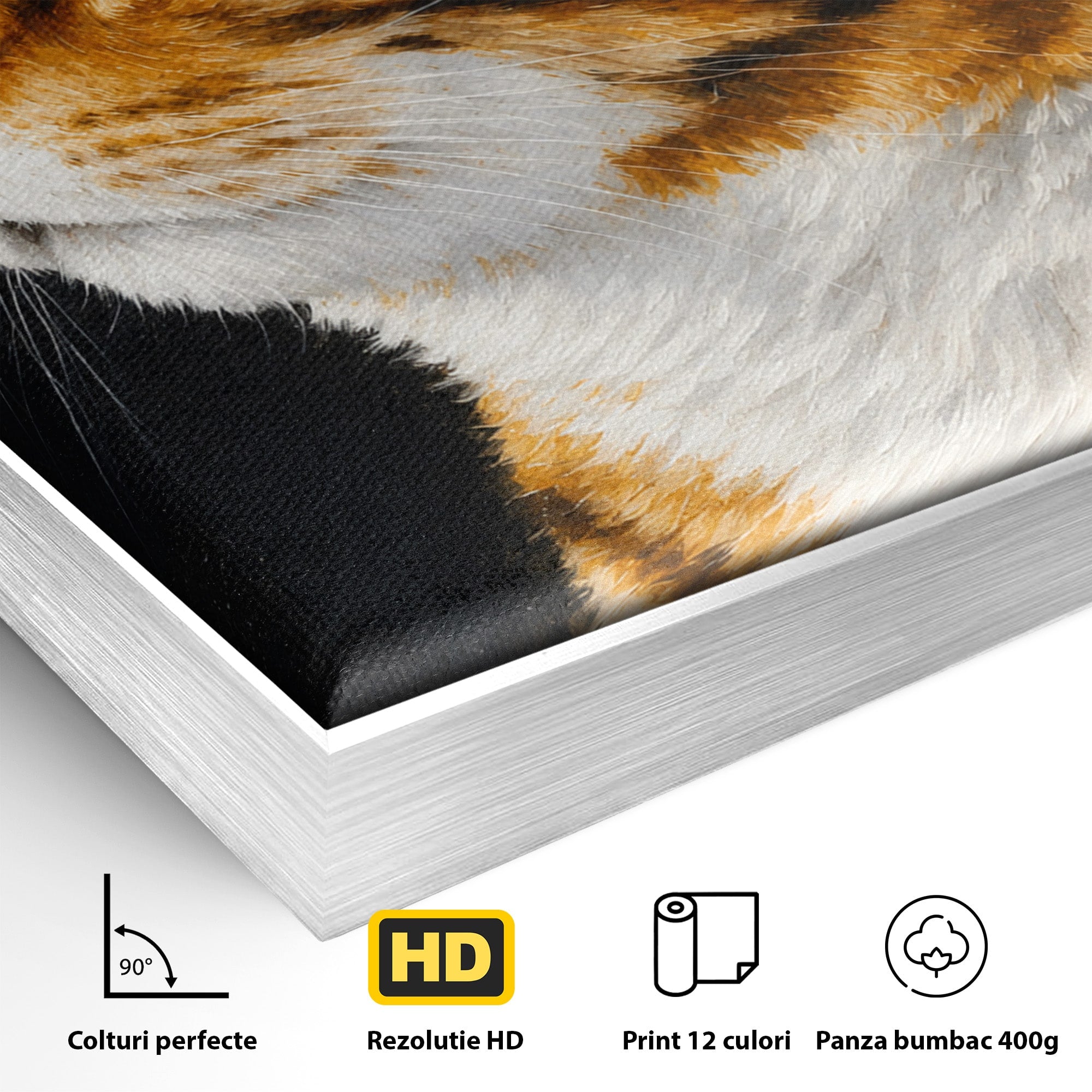 Tablou Canvas Premium LuxCanva® M1595, Privirea Curioasă, Pisica, Portret, Animale, Realism, Dormitor, Culori Vibrante