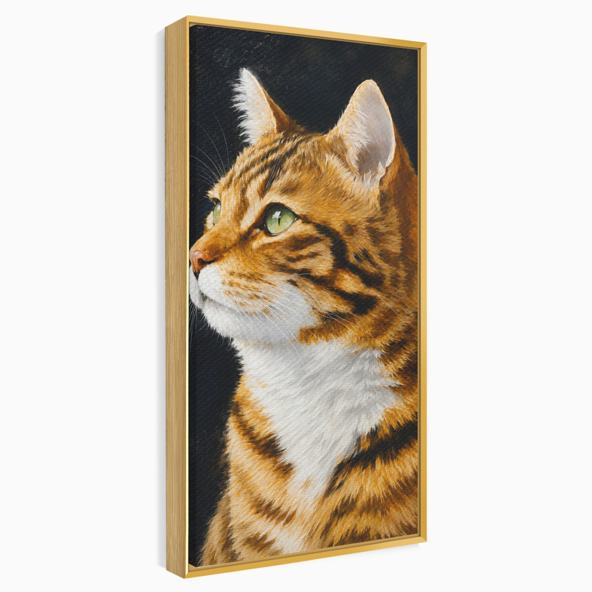 Tablou Canvas Premium LuxCanva® M1595, Privirea Curioasă, Pisica, Portret, Animale, Realism, Dormitor, Culori Vibrante