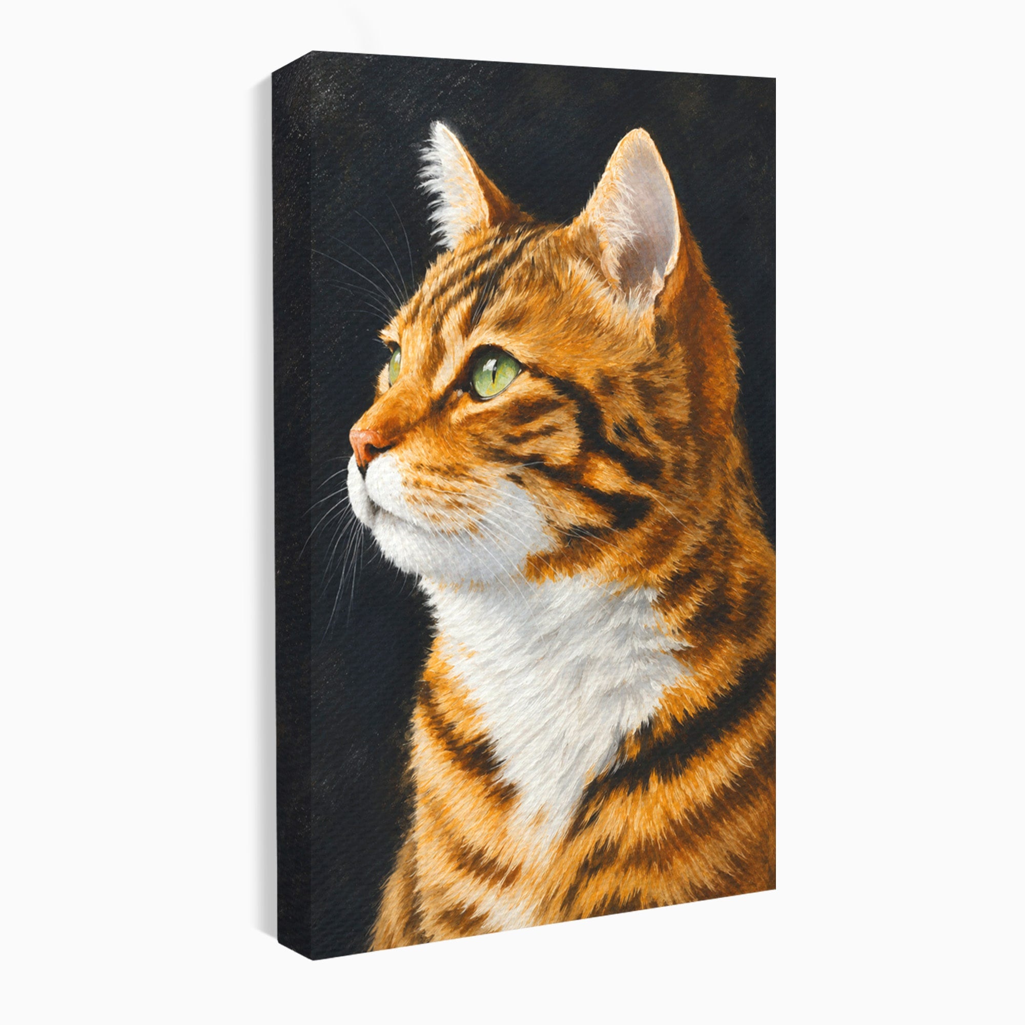 Tablou Canvas Premium LuxCanva® M1595, Privirea Curioasă, Pisica, Portret, Animale, Realism, Dormitor, Culori Vibrante
