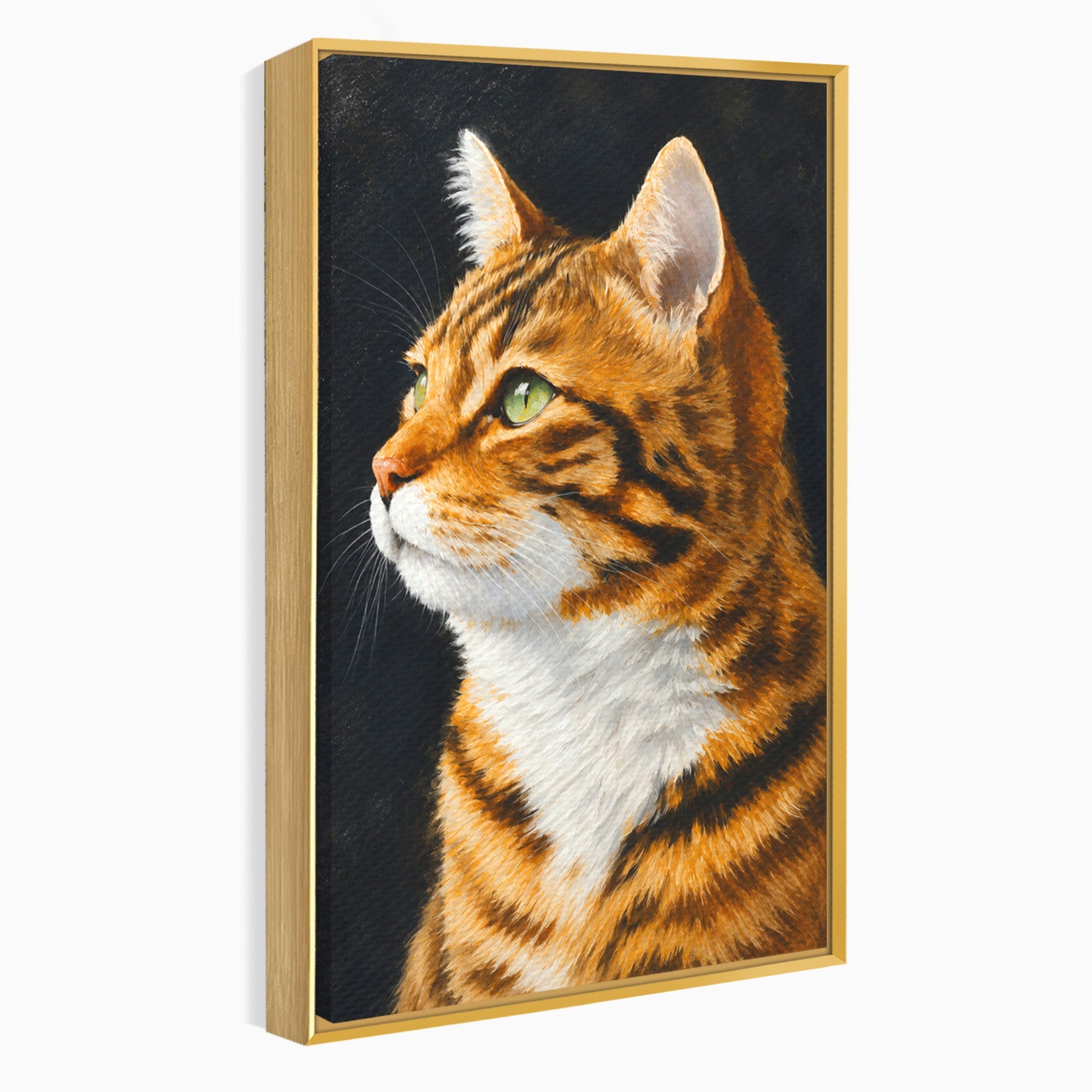 Tablou Canvas Premium LuxCanva® M1595, Privirea Curioasă, Pisica, Portret, Animale, Realism, Dormitor, Culori Vibrante