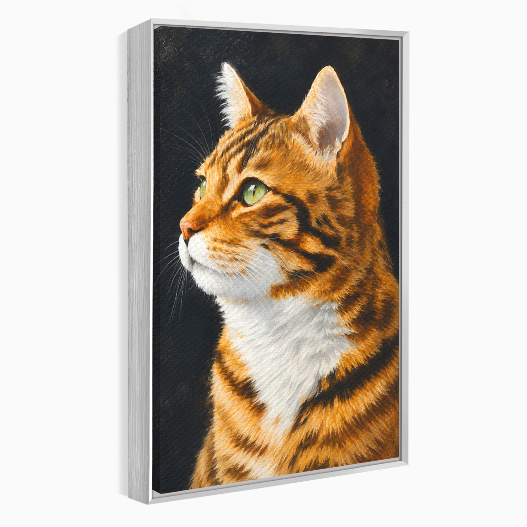 Tablou Canvas Premium LuxCanva® M1595, Privirea Curioasă, Pisica, Portret, Animale, Realism, Dormitor, Culori Vibrante