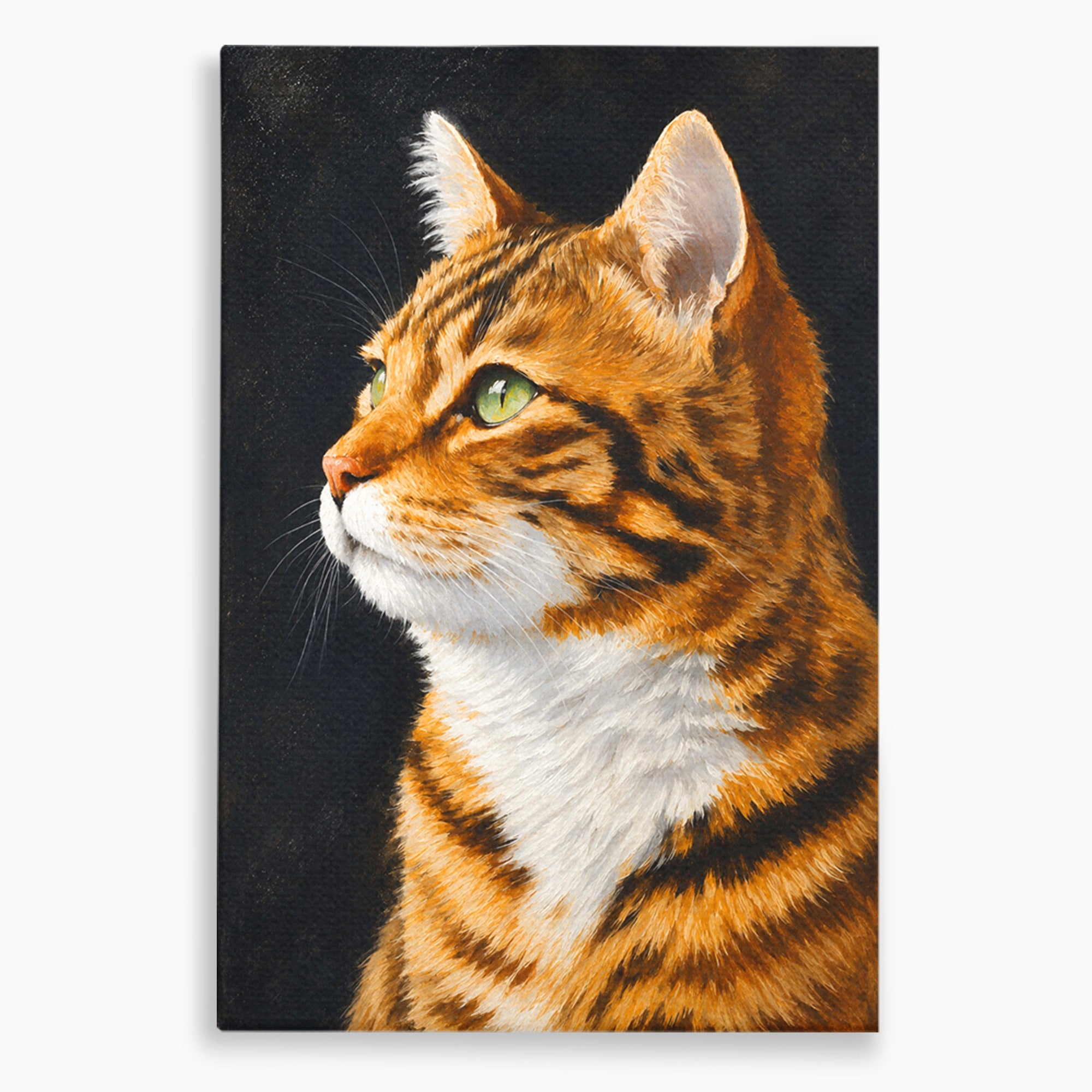 Tablou Canvas Premium LuxCanva® M1595, Privirea Curioasă, Pisica, Portret, Animale, Realism, Dormitor, Culori Vibrante