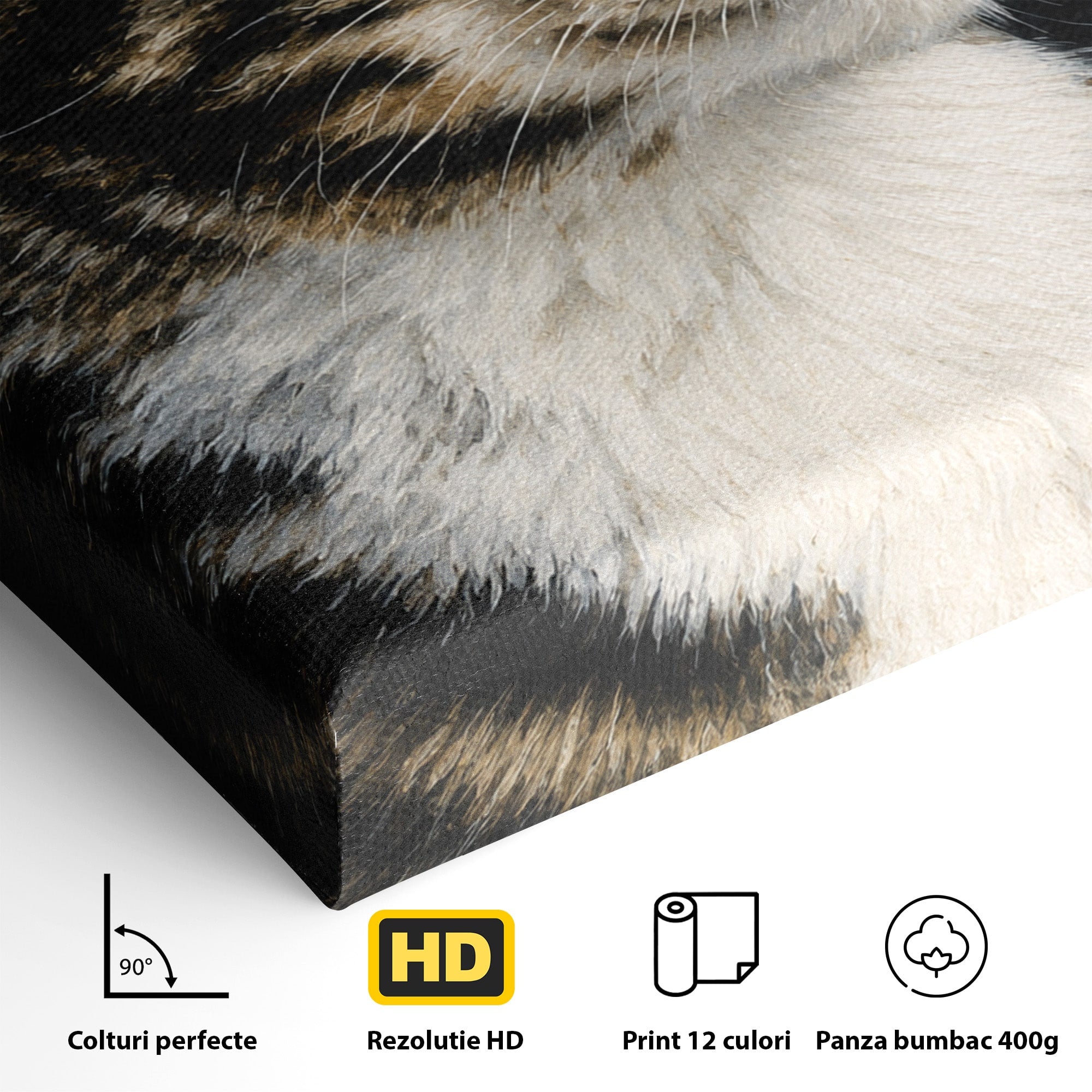 Tablou Canvas Premium LuxCanva® M1596, Pisica Privind In Departare, Pisica, Animale, Portret, Realism, Dormitor, Culori Vibrante