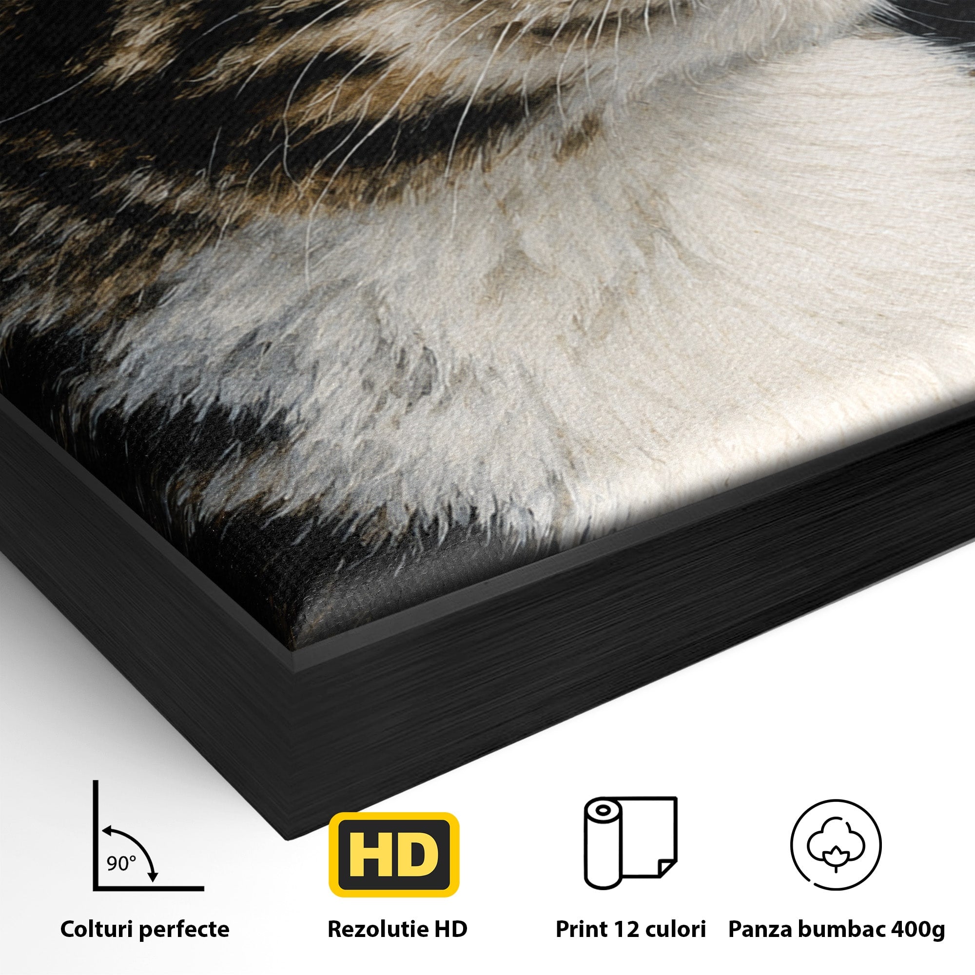 Tablou Canvas Premium LuxCanva® M1596, Pisica Privind In Departare, Pisica, Animale, Portret, Realism, Dormitor, Culori Vibrante