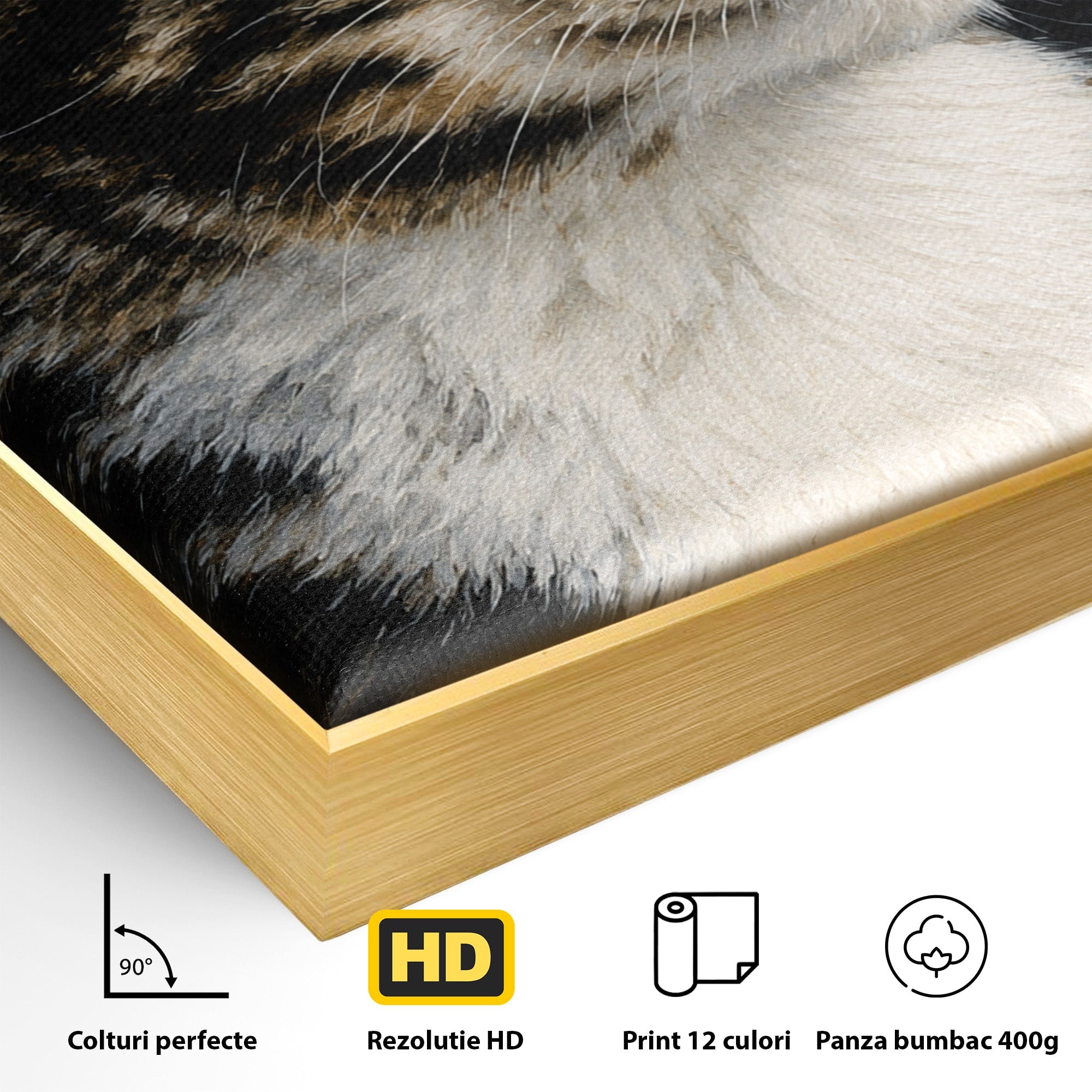 Tablou Canvas Premium LuxCanva® M1596, Pisica Privind In Departare, Pisica, Animale, Portret, Realism, Dormitor, Culori Vibrante