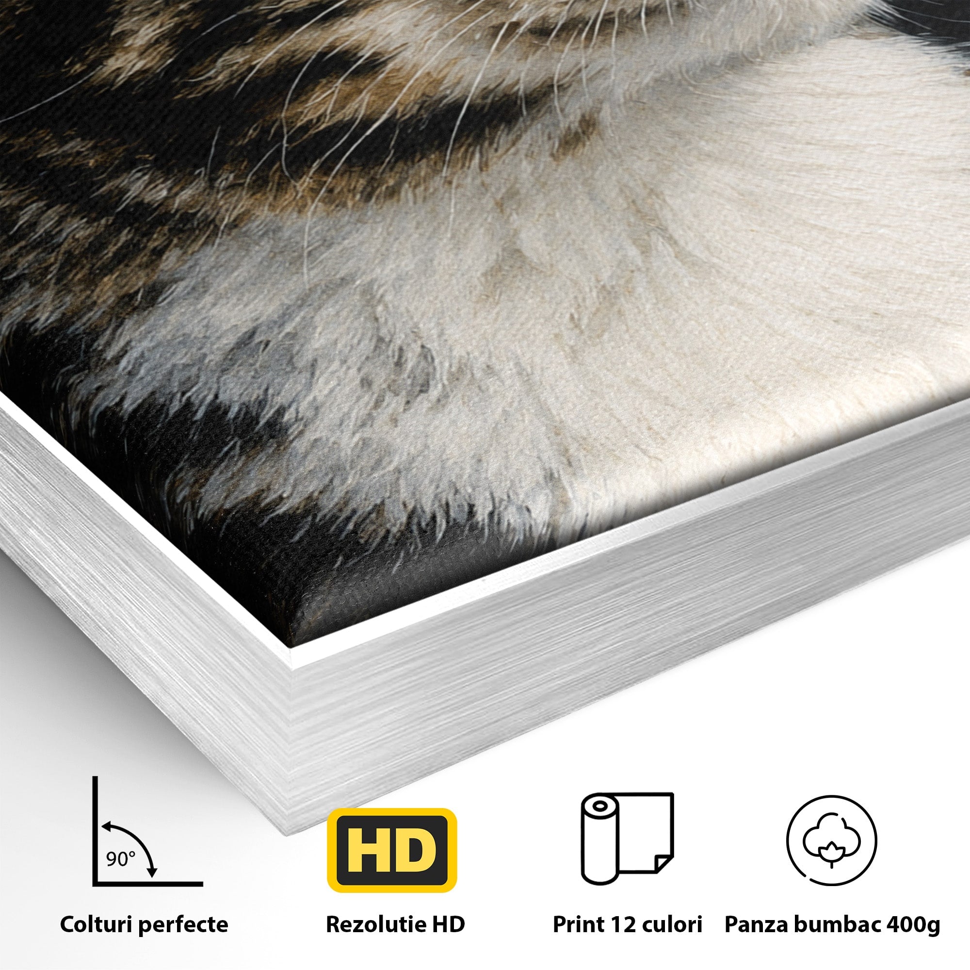 Tablou Canvas Premium LuxCanva® M1596, Pisica Privind In Departare, Pisica, Animale, Portret, Realism, Dormitor, Culori Vibrante
