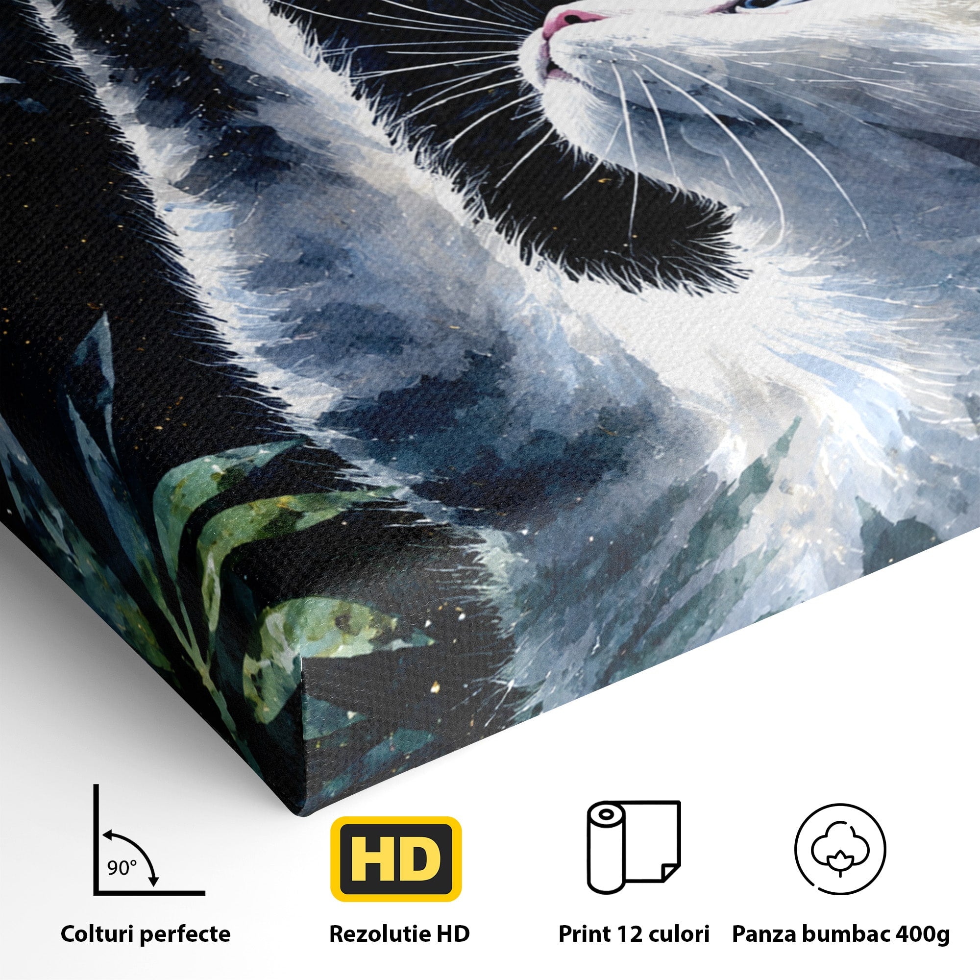 Tablou Canvas Premium LuxCanva® M1599, Micul Visător, Pisica, Stea, Natura, Noapte, Dormitor, Culori Vibrante