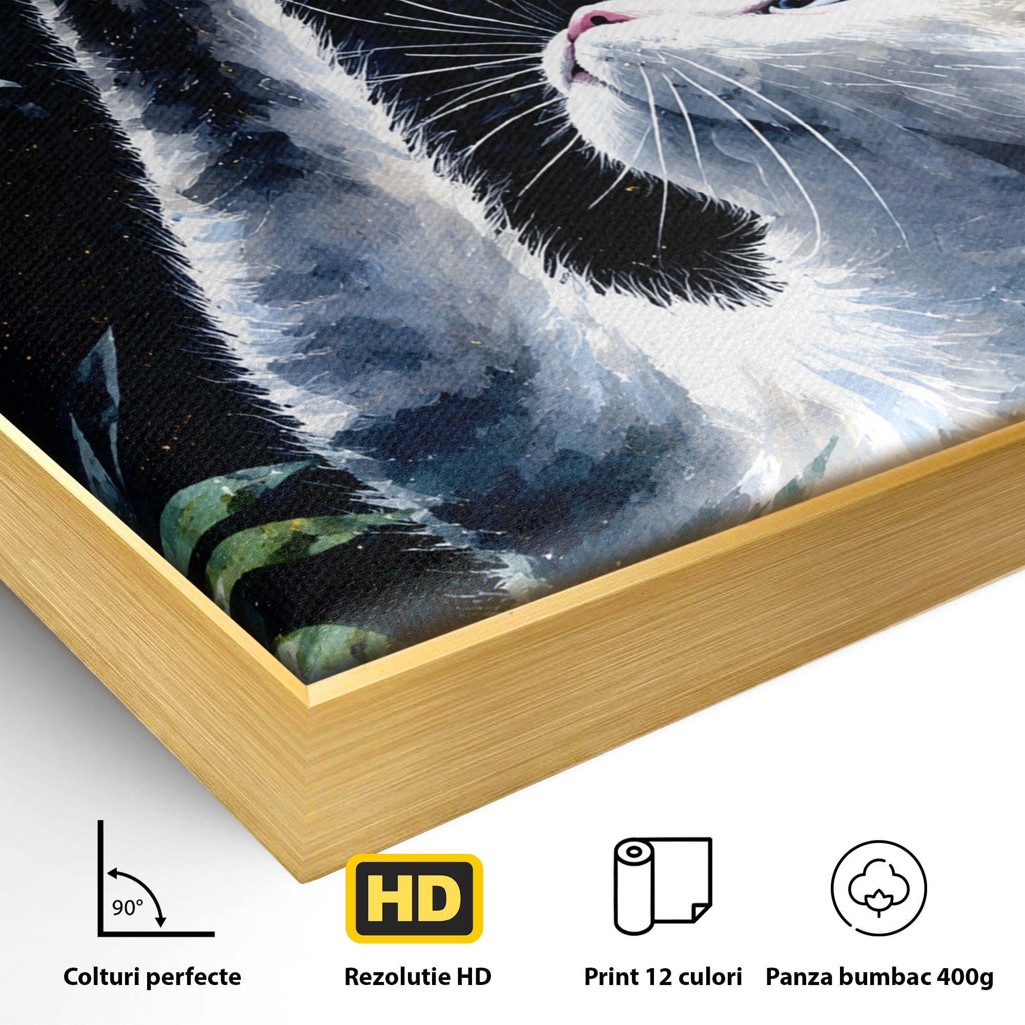 Tablou Canvas Premium LuxCanva® M1599, Micul Visător, Pisica, Stea, Natura, Noapte, Dormitor, Culori Vibrante