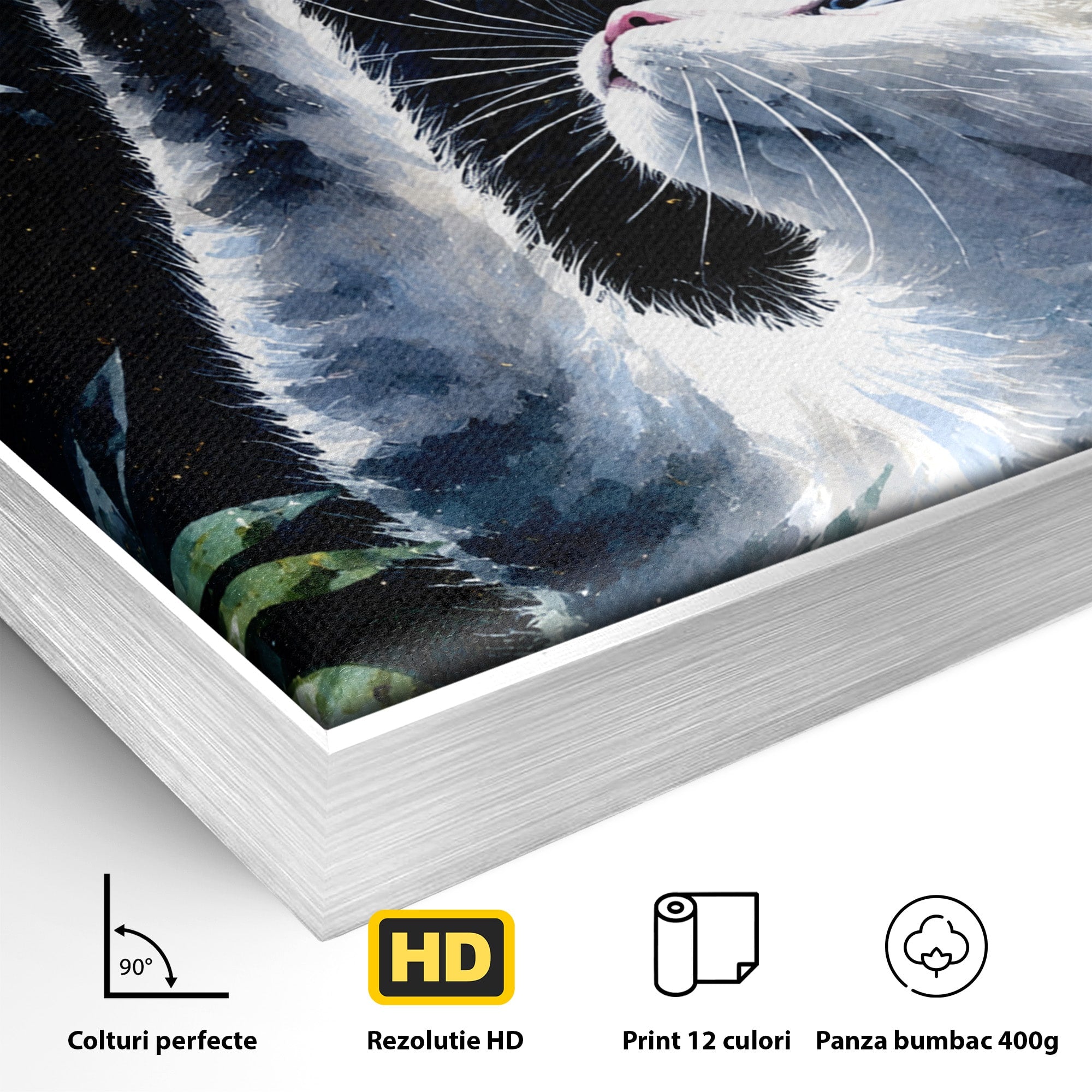 Tablou Canvas Premium LuxCanva® M1599, Micul Visător, Pisica, Stea, Natura, Noapte, Dormitor, Culori Vibrante