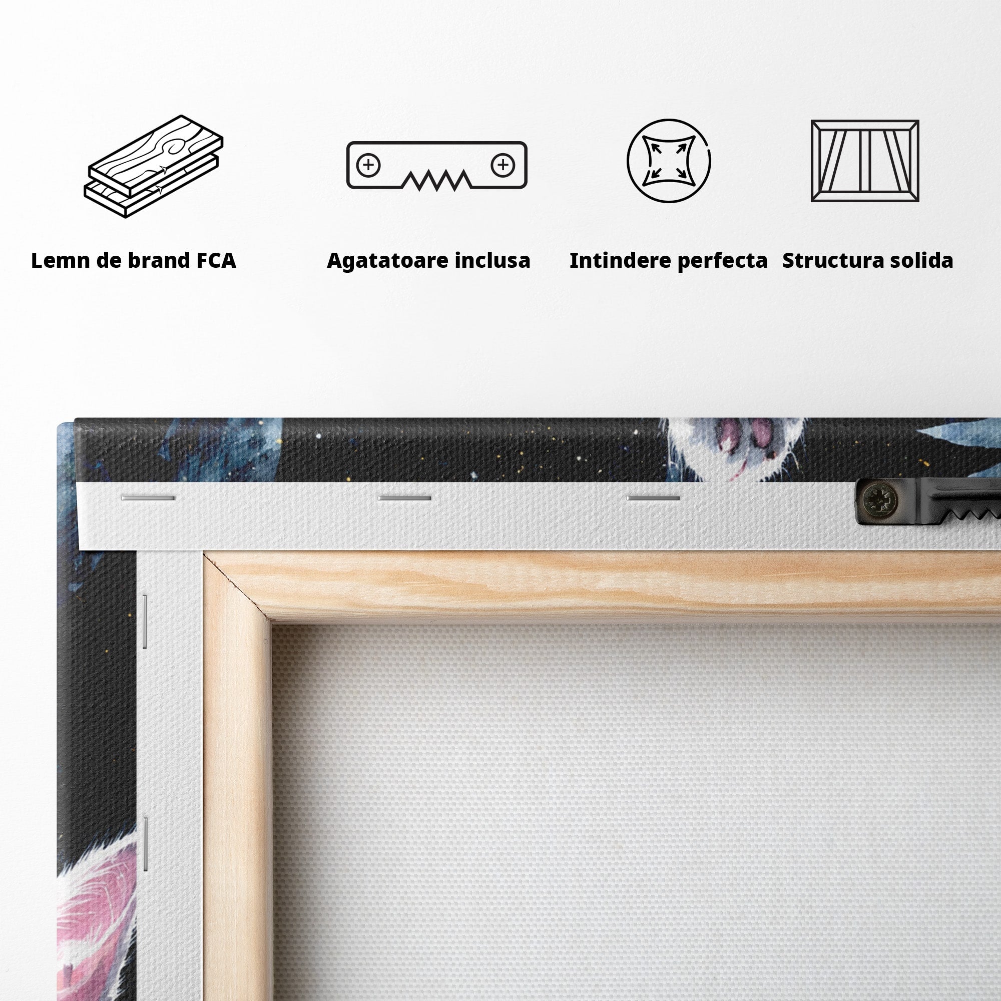 Tablou Canvas Premium LuxCanva® M1599, Micul Visător, Pisica, Stea, Natura, Noapte, Dormitor, Culori Vibrante