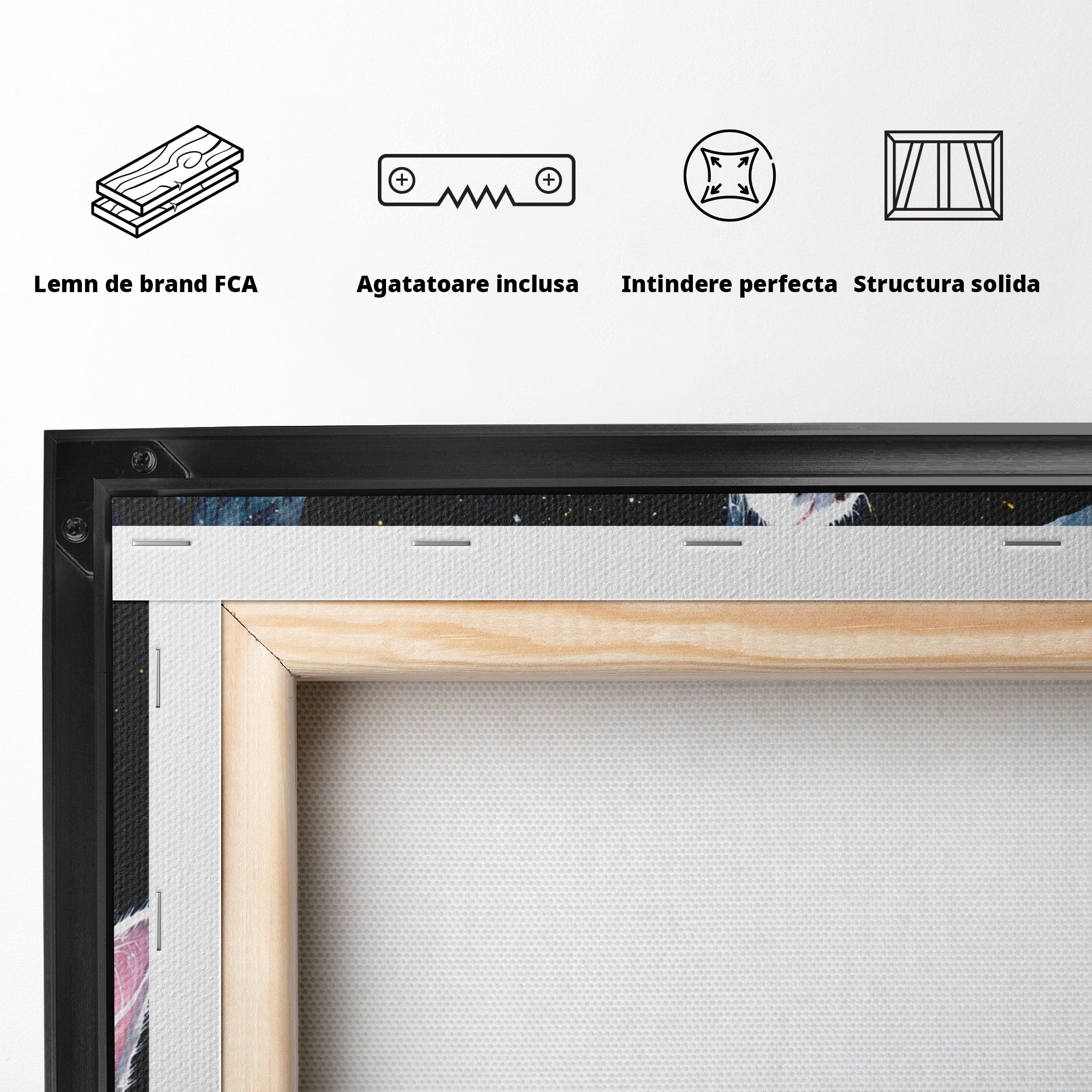 Tablou Canvas Premium LuxCanva® M1599, Micul Visător, Pisica, Stea, Natura, Noapte, Dormitor, Culori Vibrante