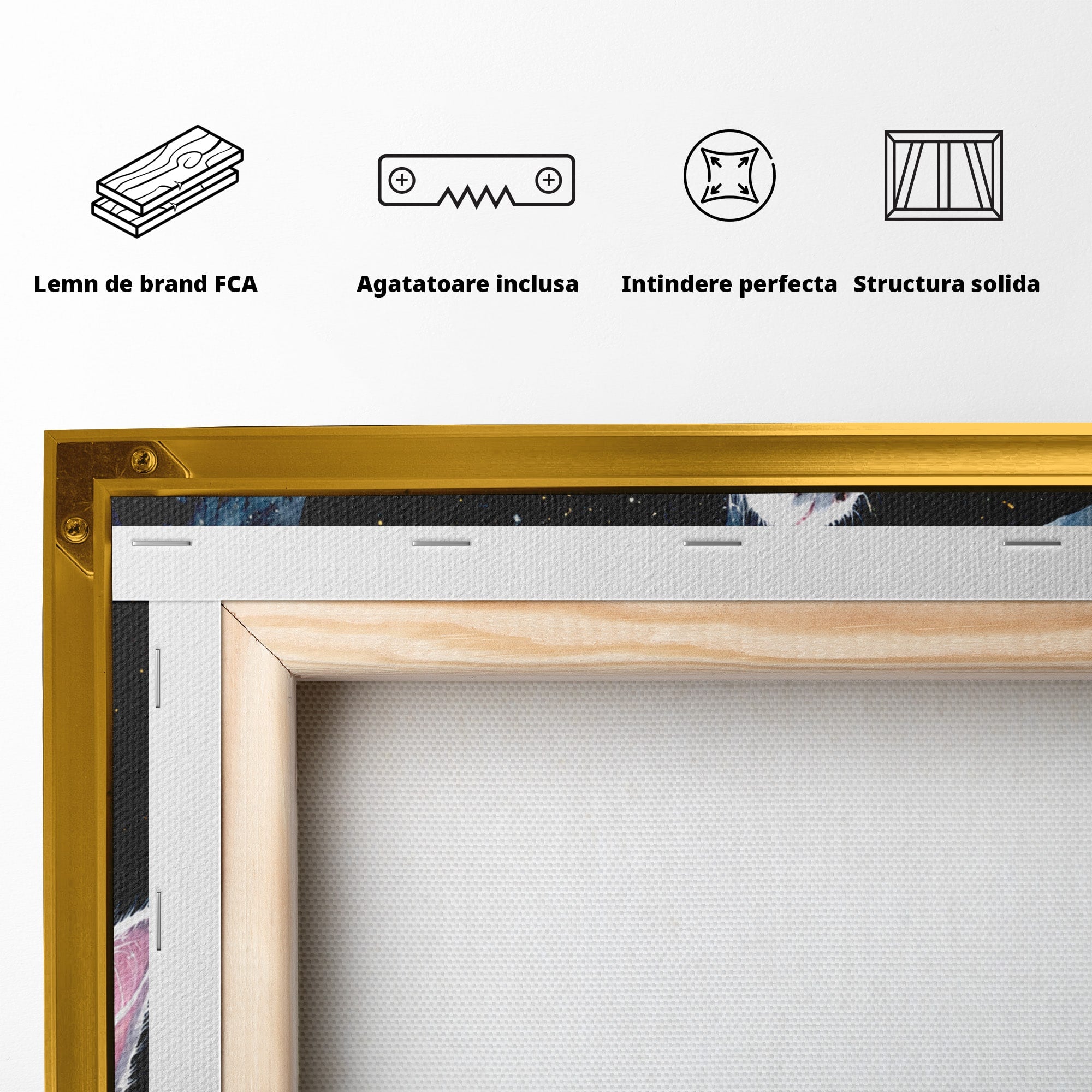 Tablou Canvas Premium LuxCanva® M1599, Micul Visător, Pisica, Stea, Natura, Noapte, Dormitor, Culori Vibrante