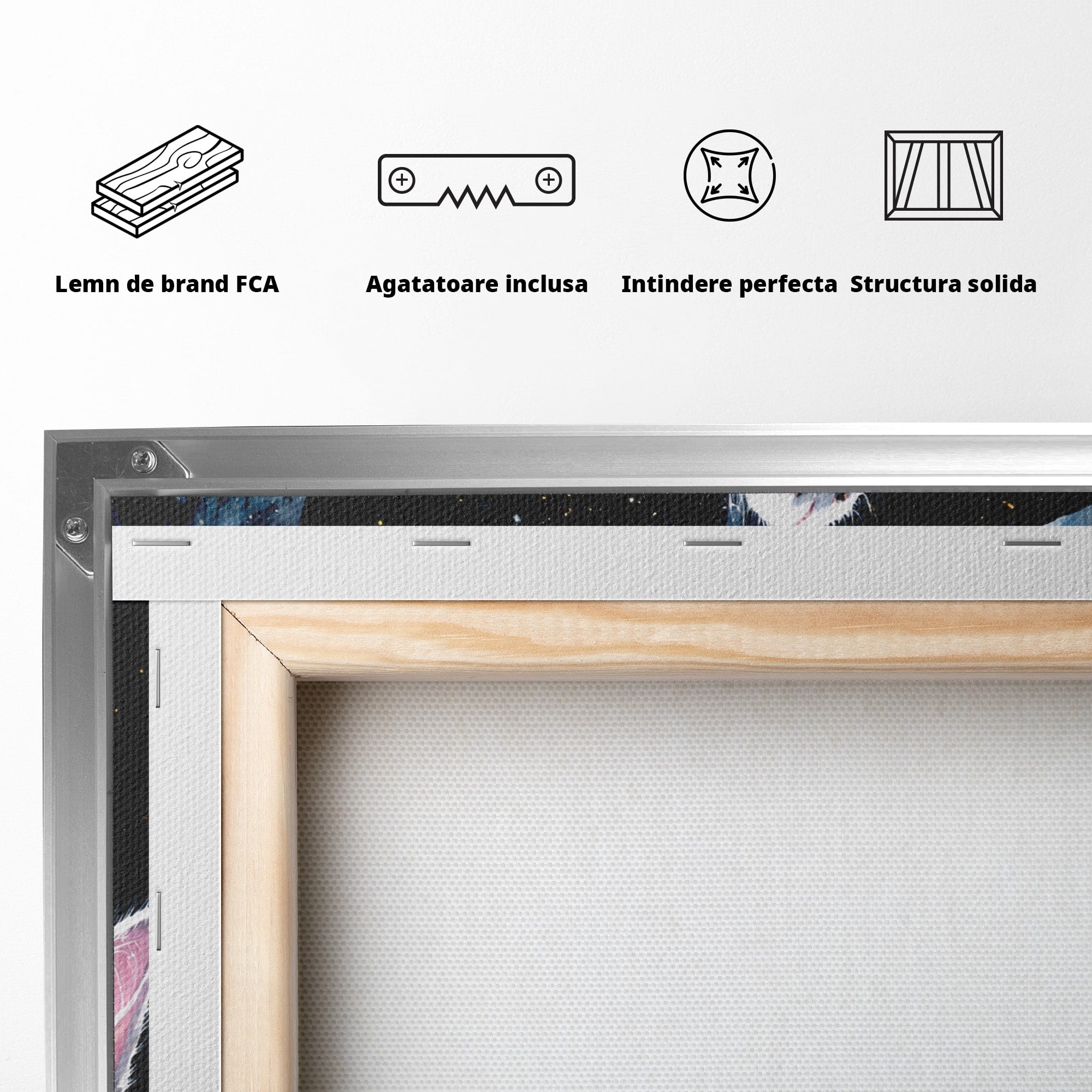 Tablou Canvas Premium LuxCanva® M1599, Micul Visător, Pisica, Stea, Natura, Noapte, Dormitor, Culori Vibrante