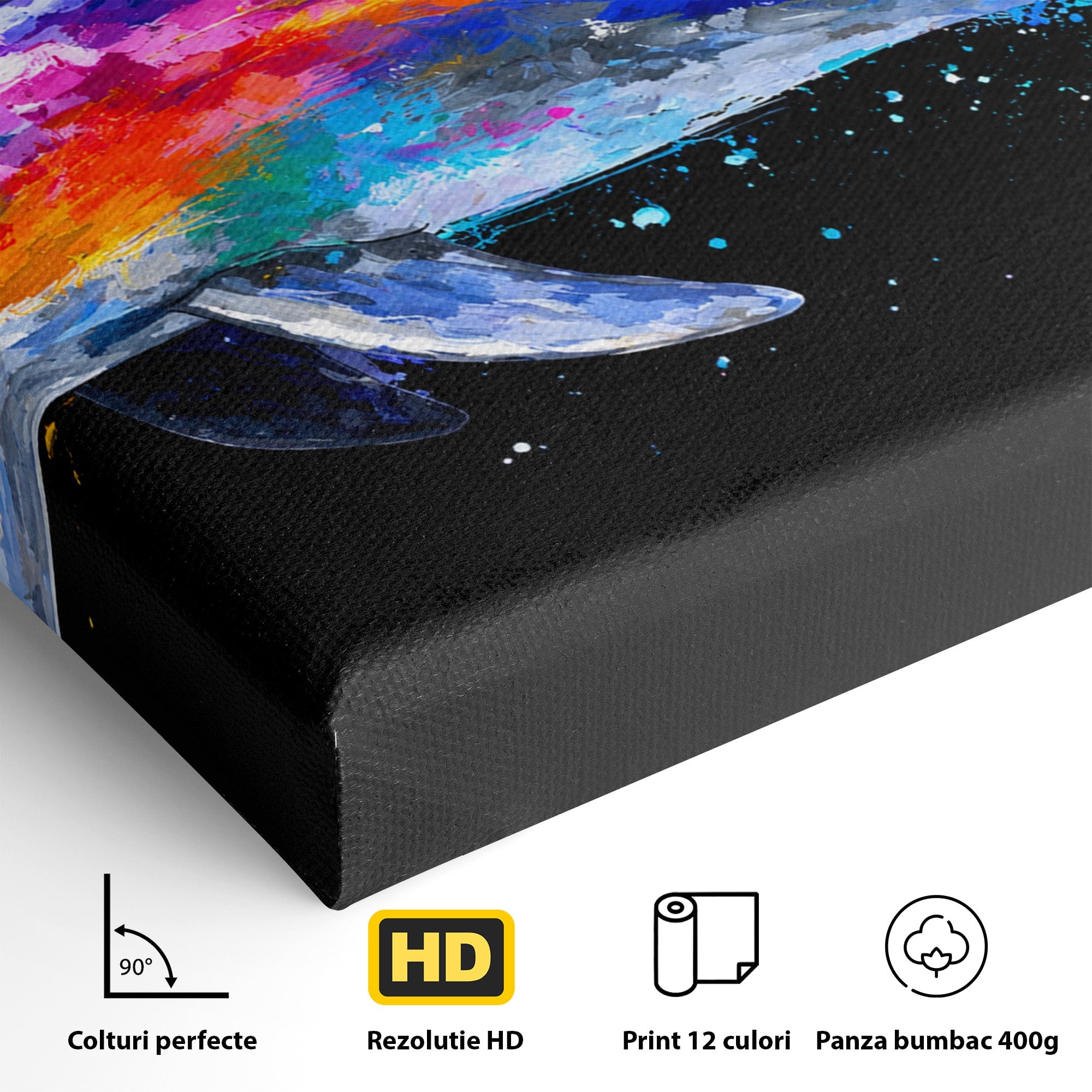 Tablou Canvas Premium LuxCanva® M1616, Delfinul Curcubeu, Delfin, Curcubeu, Ocean, Arta Abstracta, Living, Culori Vibrante