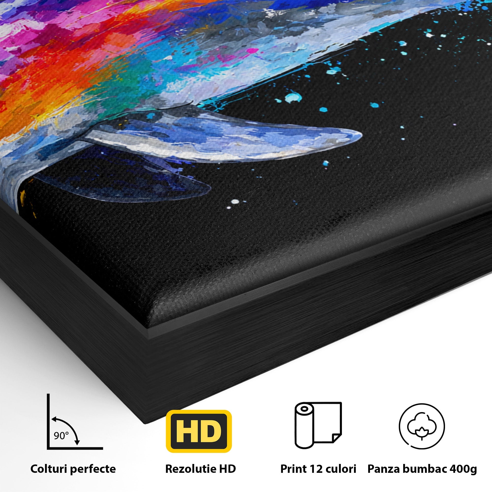 Tablou Canvas Premium LuxCanva® M1616, Delfinul Curcubeu, Delfin, Curcubeu, Ocean, Arta Abstracta, Living, Culori Vibrante