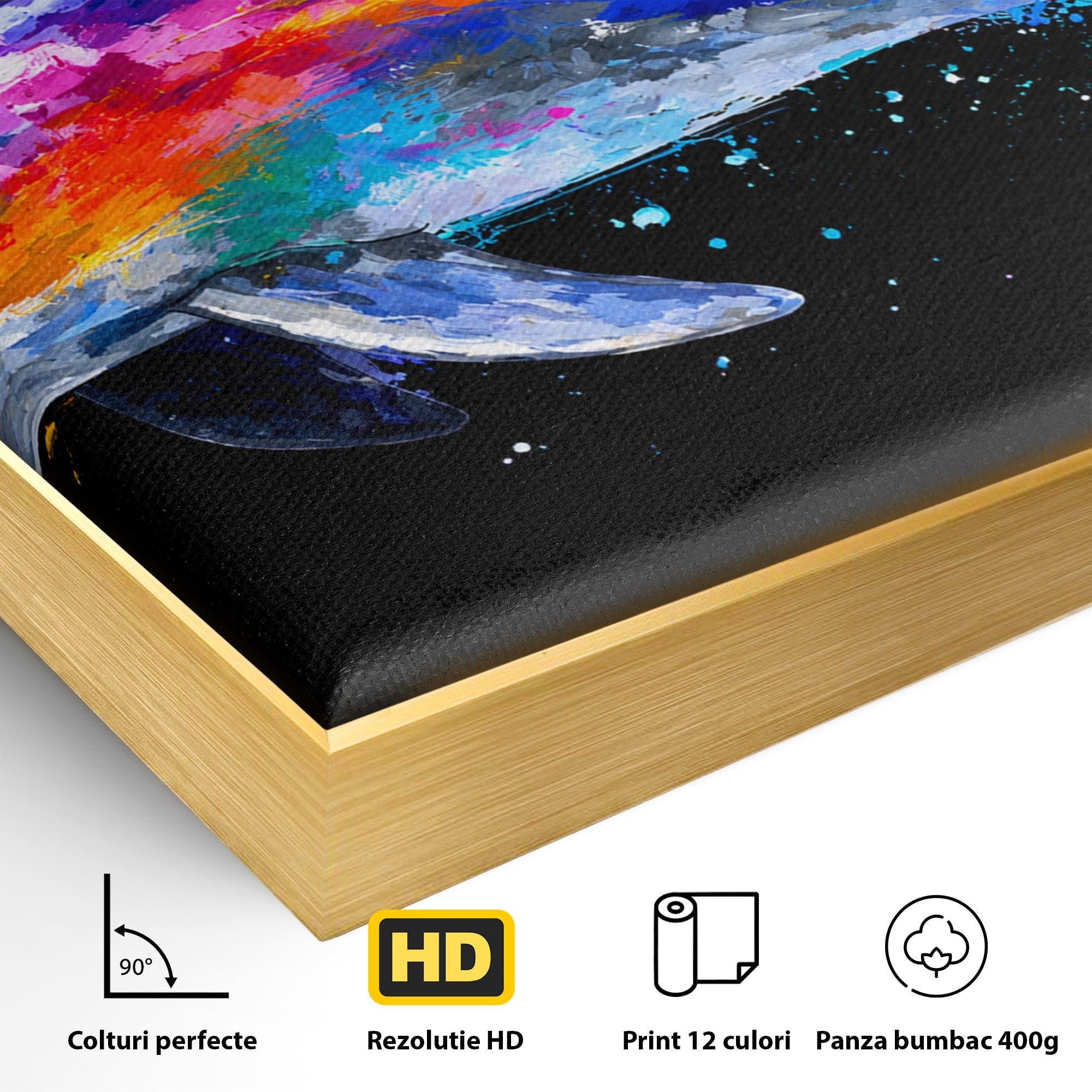 Tablou Canvas Premium LuxCanva® M1616, Delfinul Curcubeu, Delfin, Curcubeu, Ocean, Arta Abstracta, Living, Culori Vibrante