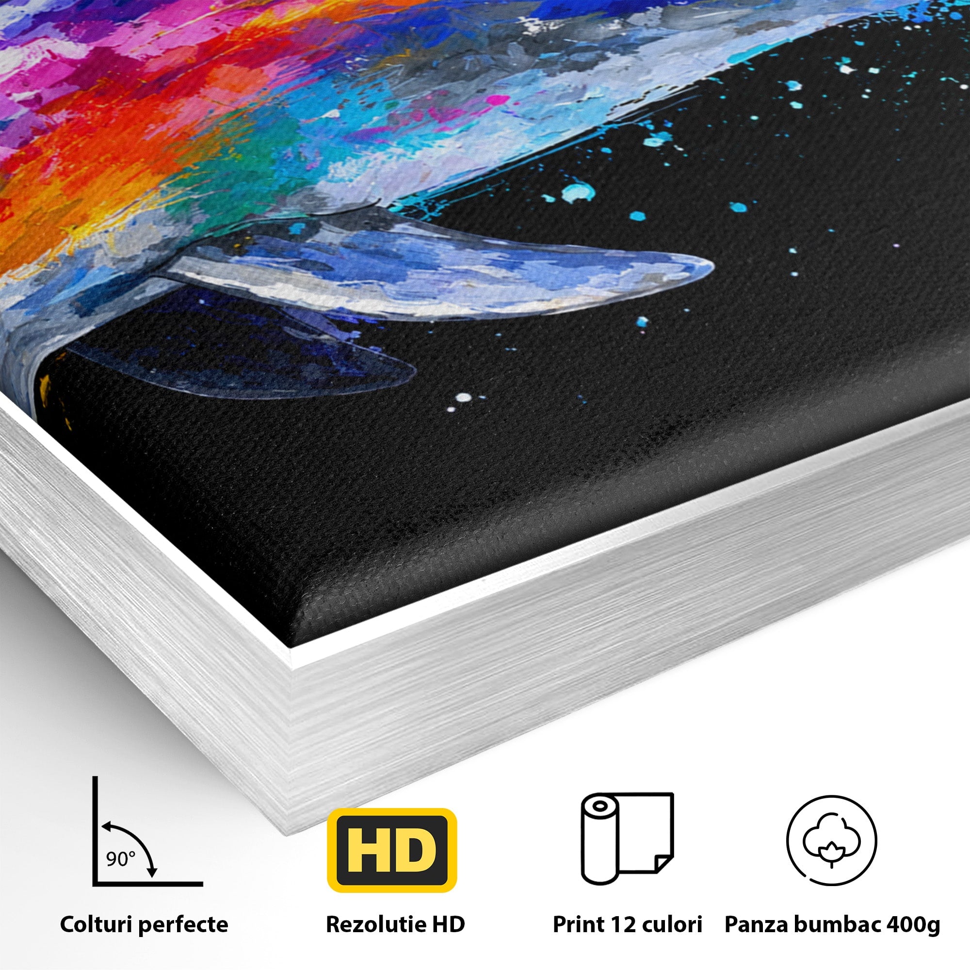 Tablou Canvas Premium LuxCanva® M1616, Delfinul Curcubeu, Delfin, Curcubeu, Ocean, Arta Abstracta, Living, Culori Vibrante