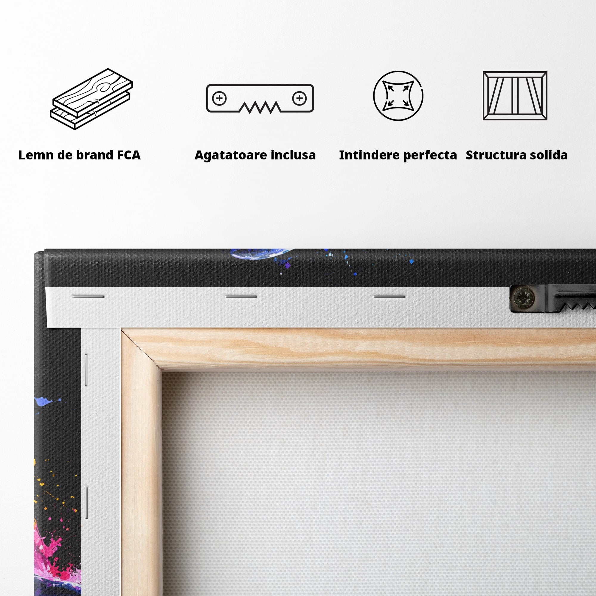 Tablou Canvas Premium LuxCanva® M1616, Delfinul Curcubeu, Delfin, Curcubeu, Ocean, Arta Abstracta, Living, Culori Vibrante