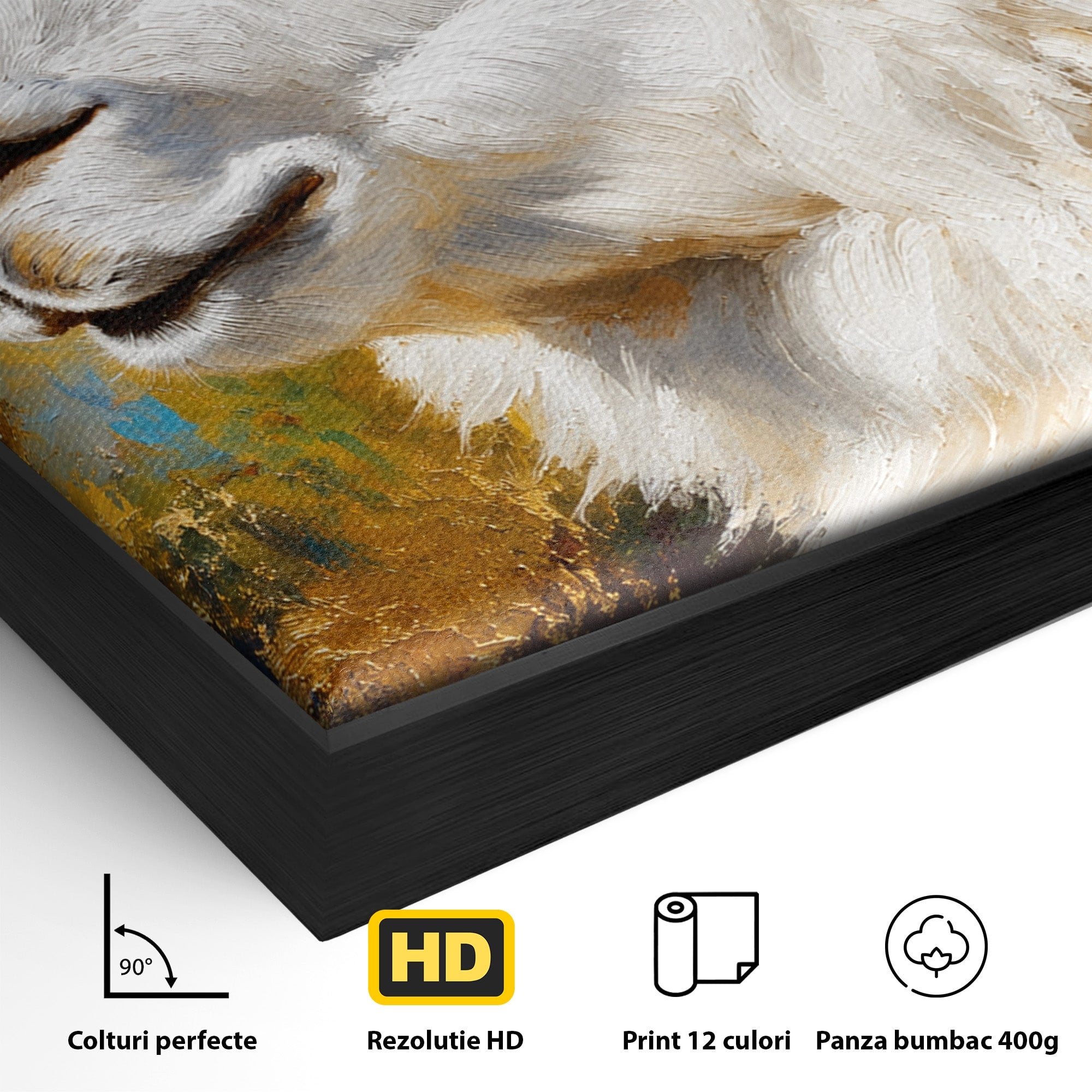 Tablou Canvas Premium LuxCanva® M1620, Alpaca Eleganta, Alpaca, Portret, Animale, Living, Arta, Culori Vibrante