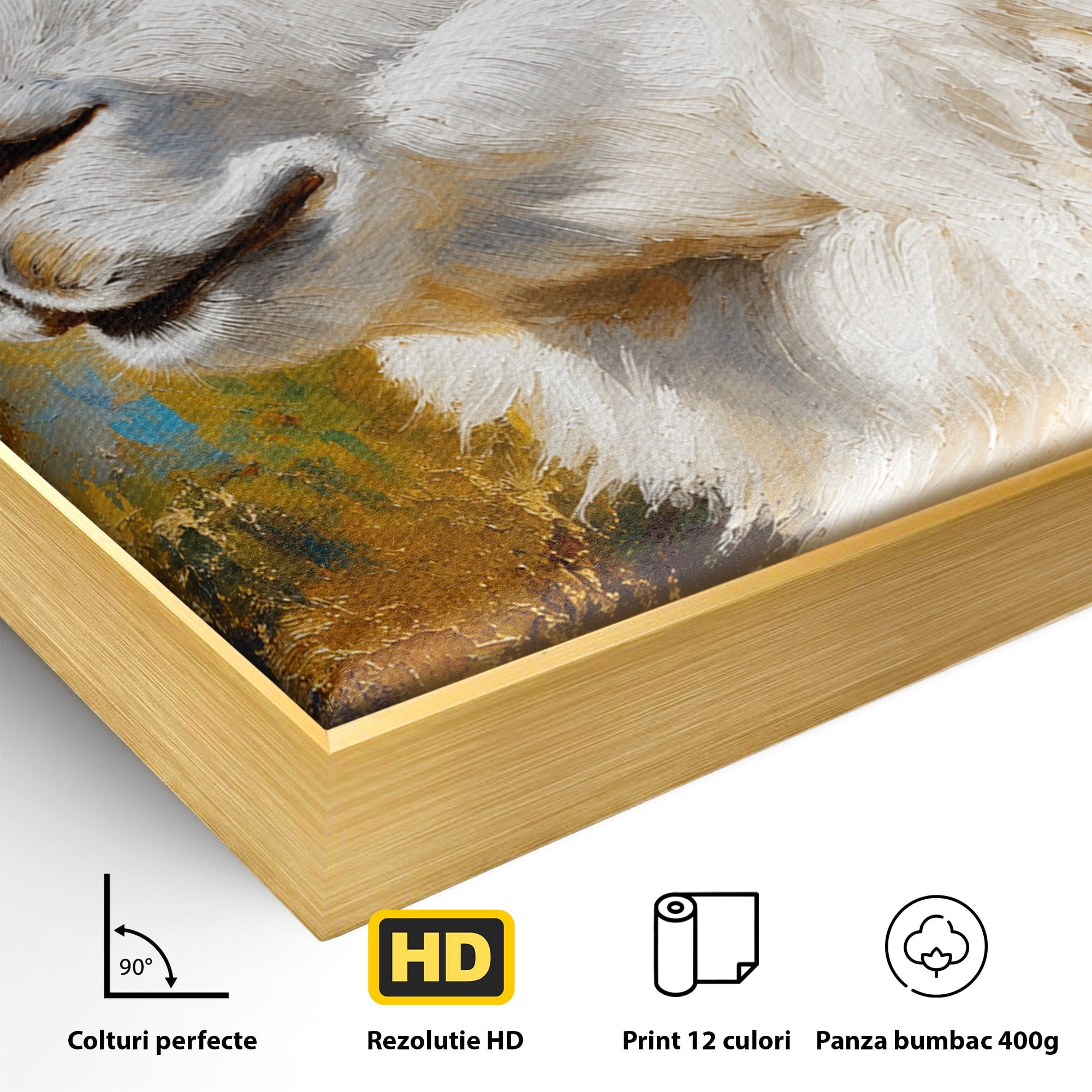 Tablou Canvas Premium LuxCanva® M1620, Alpaca Eleganta, Alpaca, Portret, Animale, Living, Arta, Culori Vibrante
