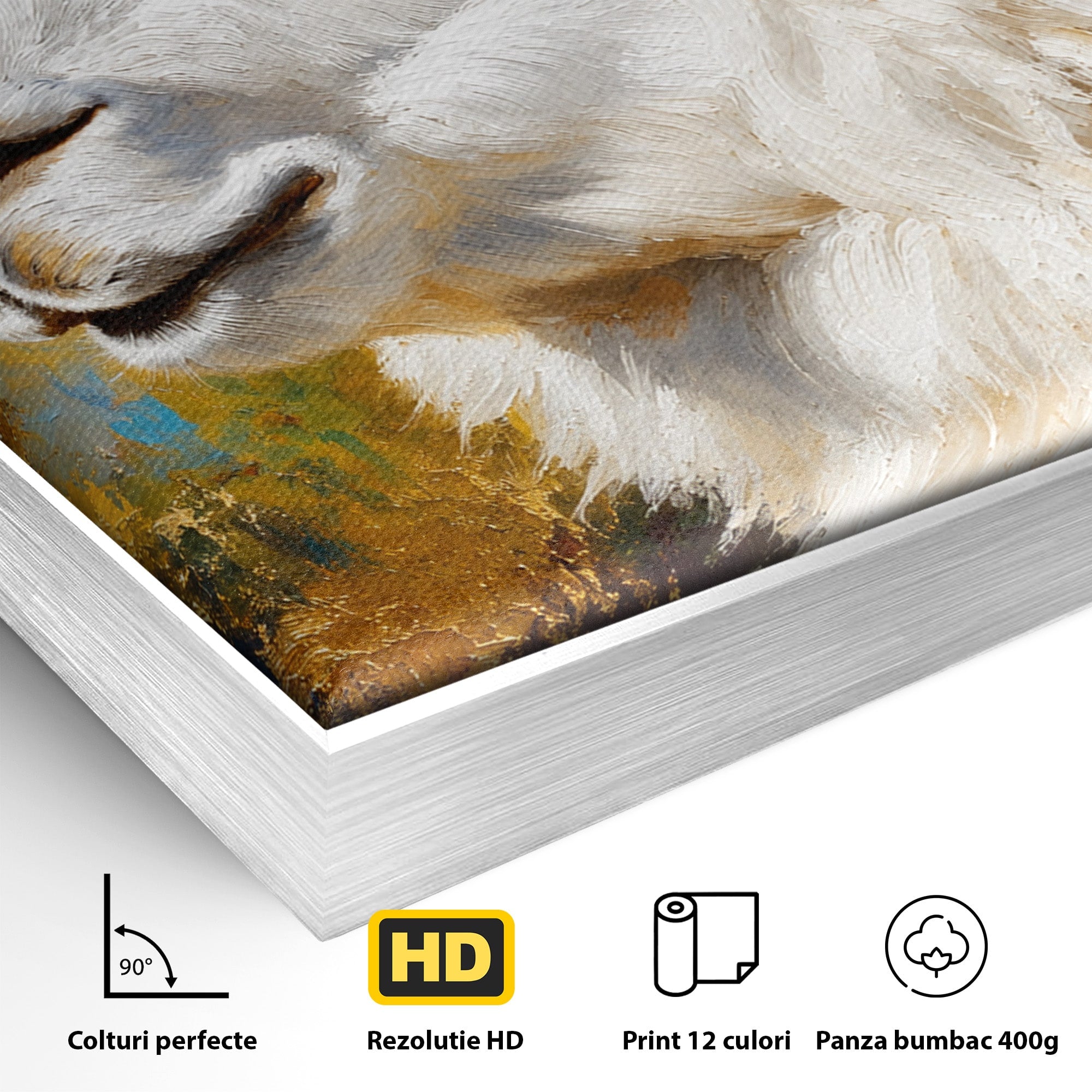 Tablou Canvas Premium LuxCanva® M1620, Alpaca Eleganta, Alpaca, Portret, Animale, Living, Arta, Culori Vibrante