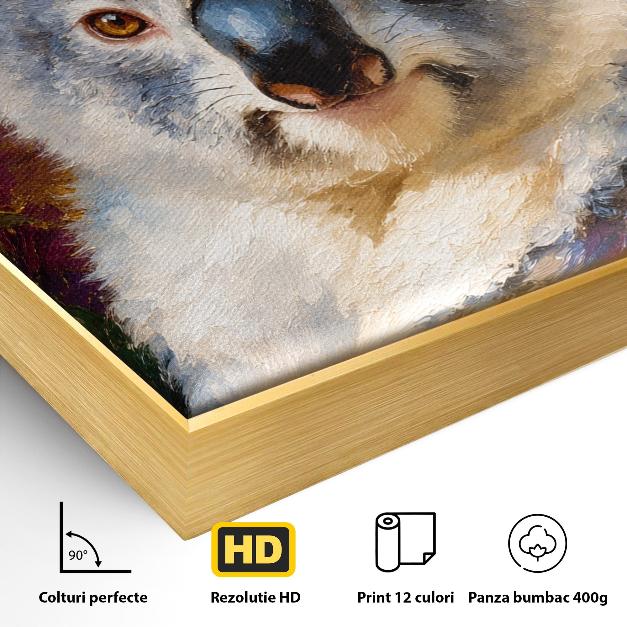 Tablou Canvas Premium LuxCanva® M1622, Portret De Koala, Koala, Portret, Animale, Natura, Living, Culori Vibrante