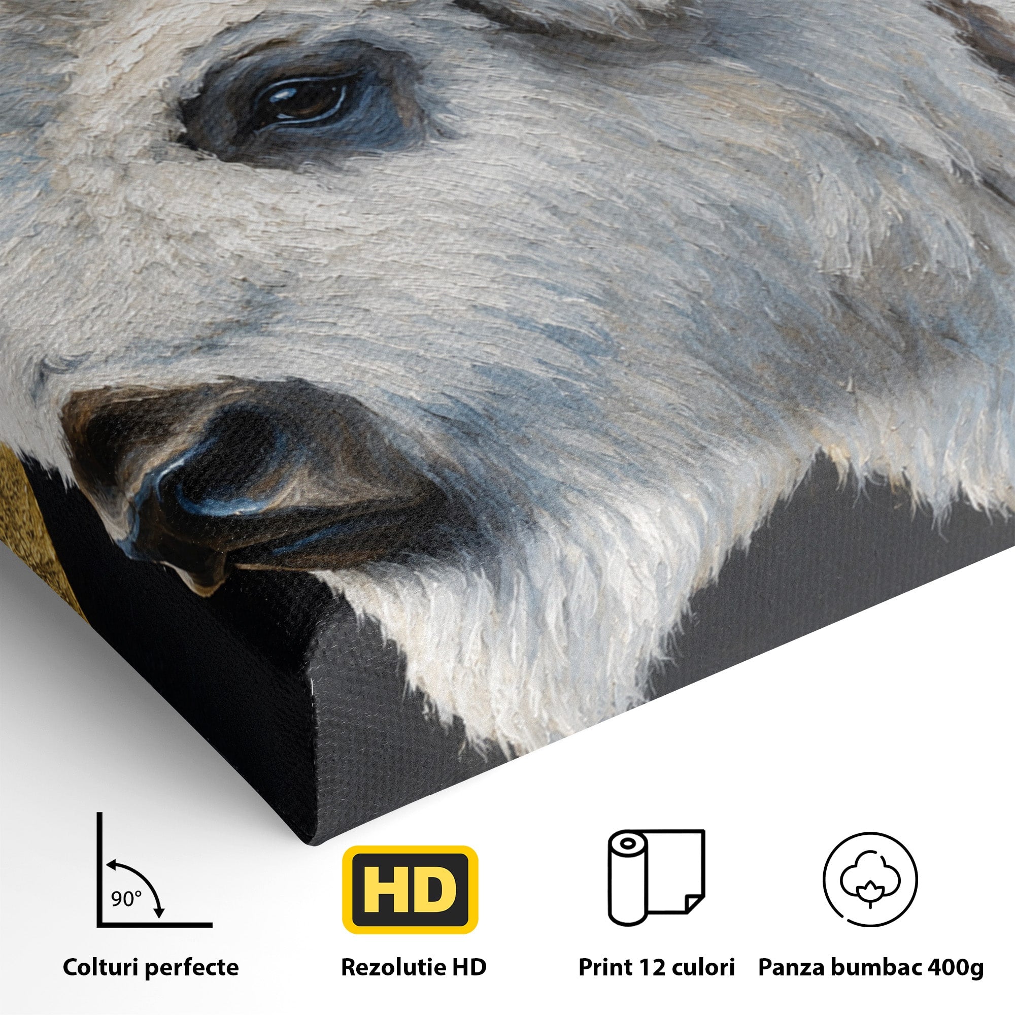 Tablou Canvas Premium LuxCanva® M1625, Bizon Alb Regal, Bizon, Animale, Portret, Salbaticie, Living, Culori Vibrante