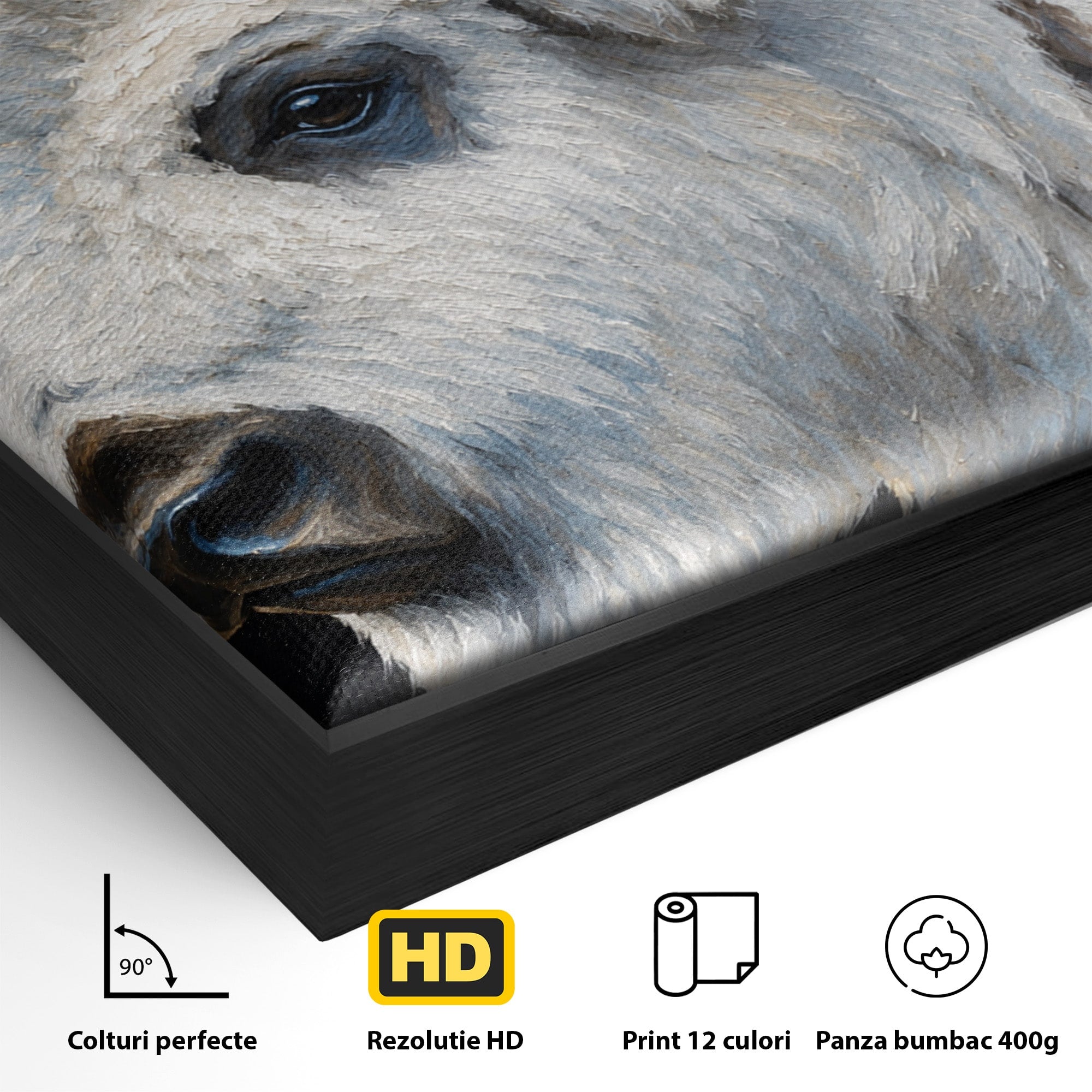 Tablou Canvas Premium LuxCanva® M1625, Bizon Alb Regal, Bizon, Animale, Portret, Salbaticie, Living, Culori Vibrante