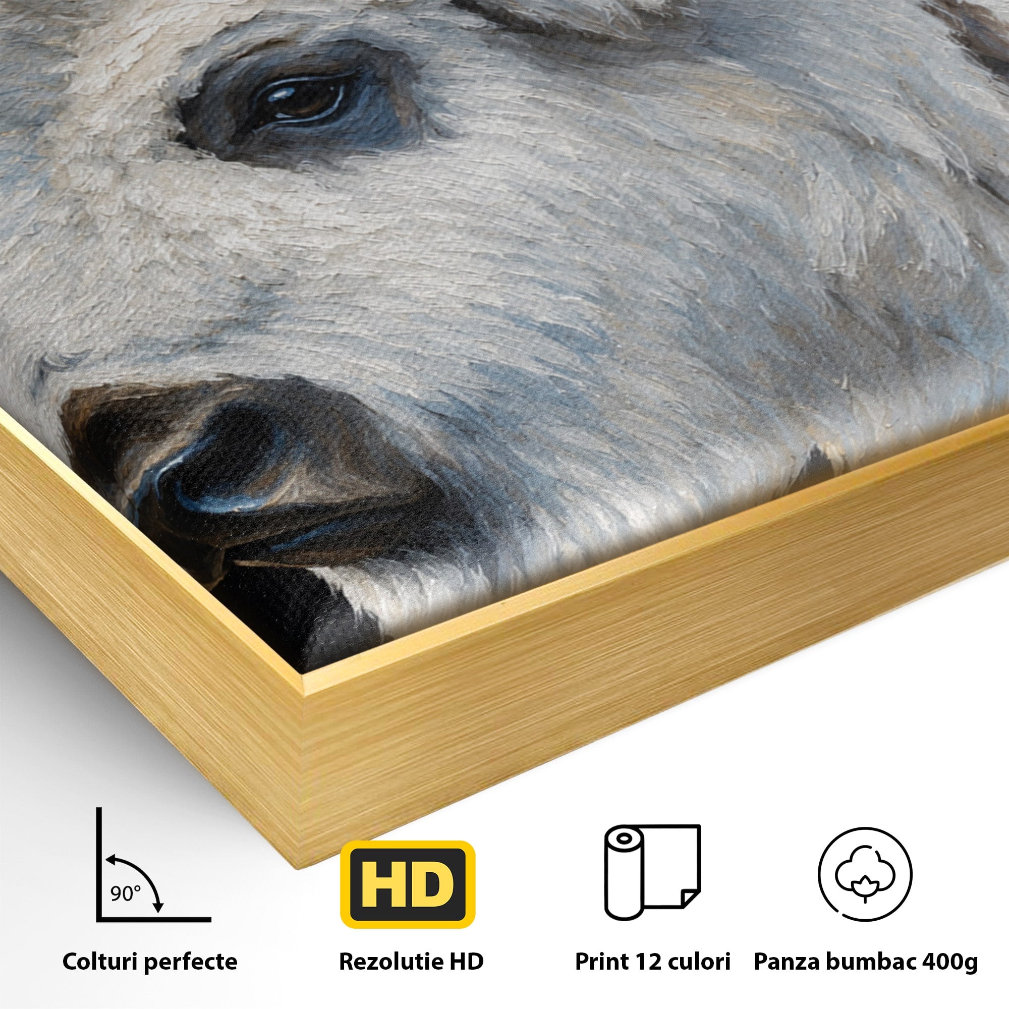 Tablou Canvas Premium LuxCanva® M1625, Bizon Alb Regal, Bizon, Animale, Portret, Salbaticie, Living, Culori Vibrante