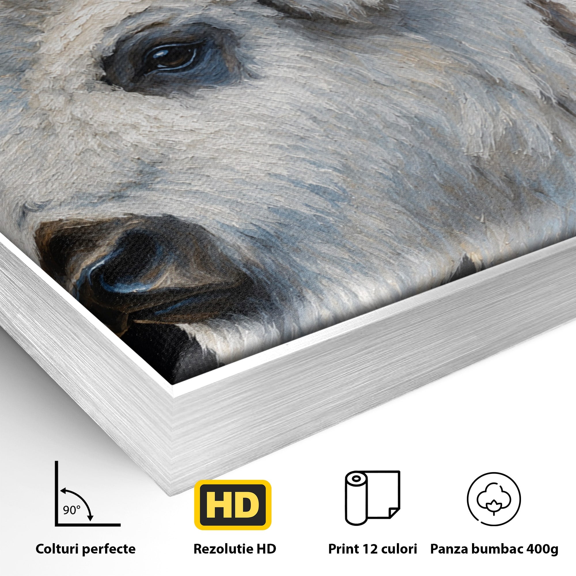 Tablou Canvas Premium LuxCanva® M1625, Bizon Alb Regal, Bizon, Animale, Portret, Salbaticie, Living, Culori Vibrante